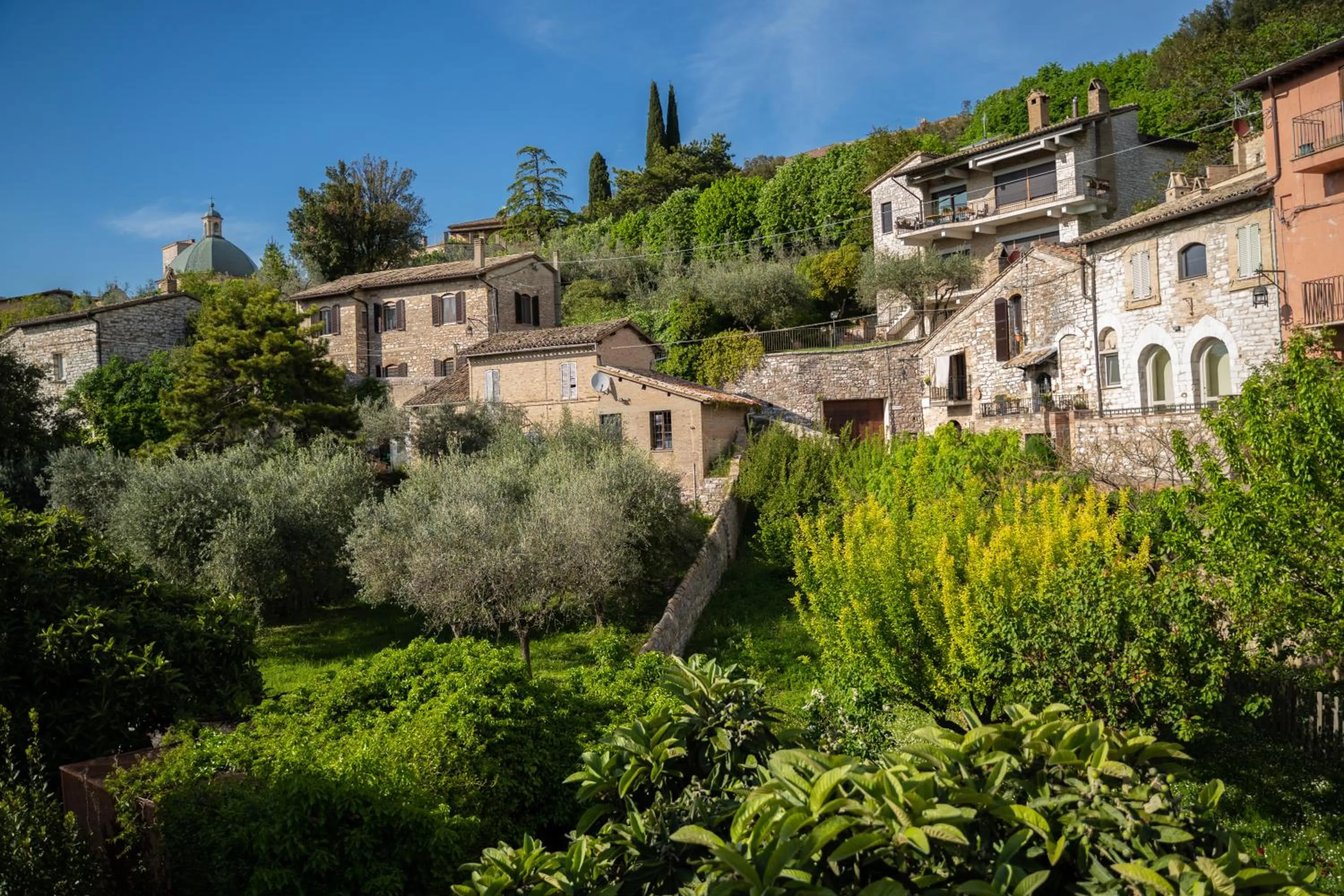 Garden view in Hotel Belvedere