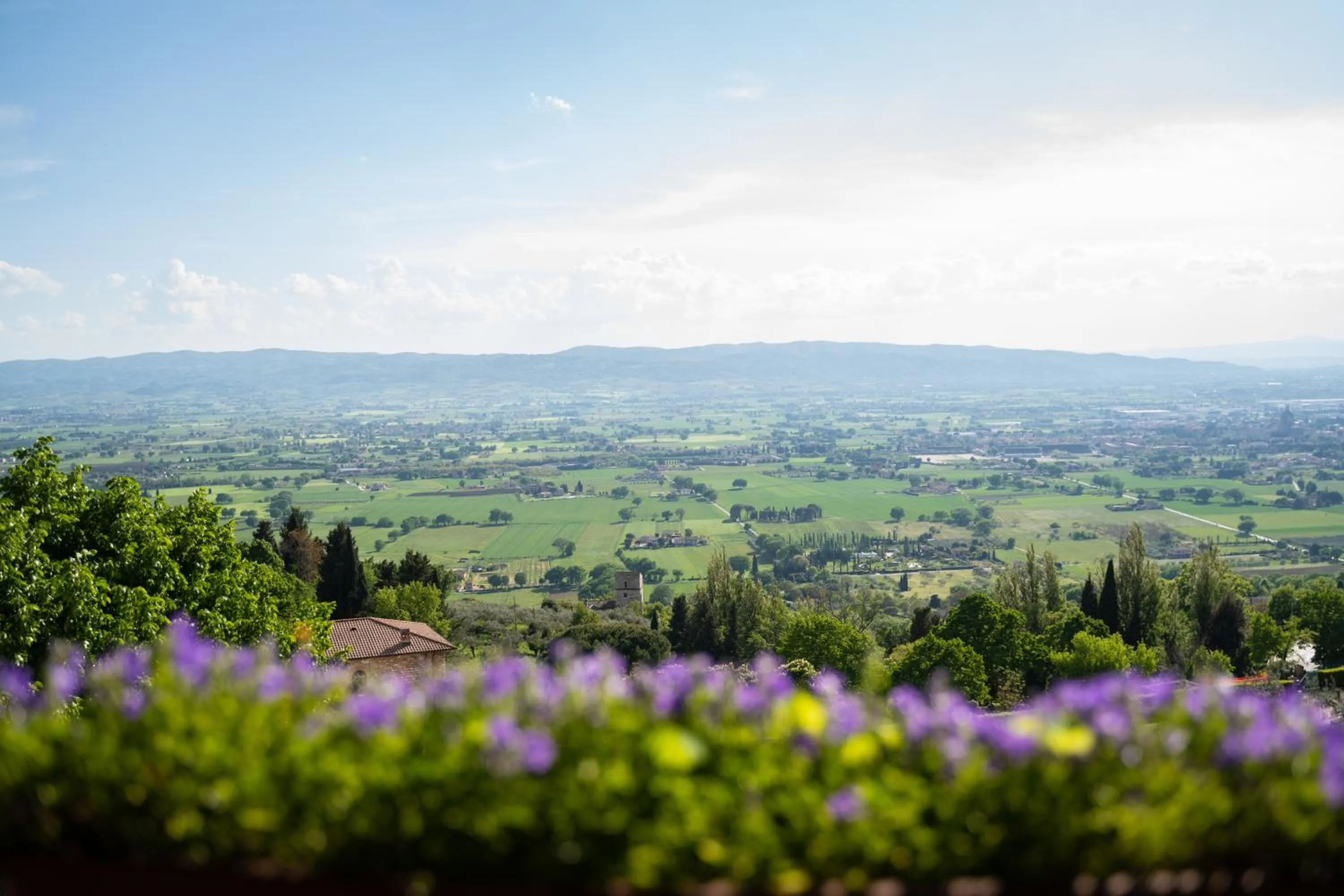 View (from property/room) in Hotel Belvedere