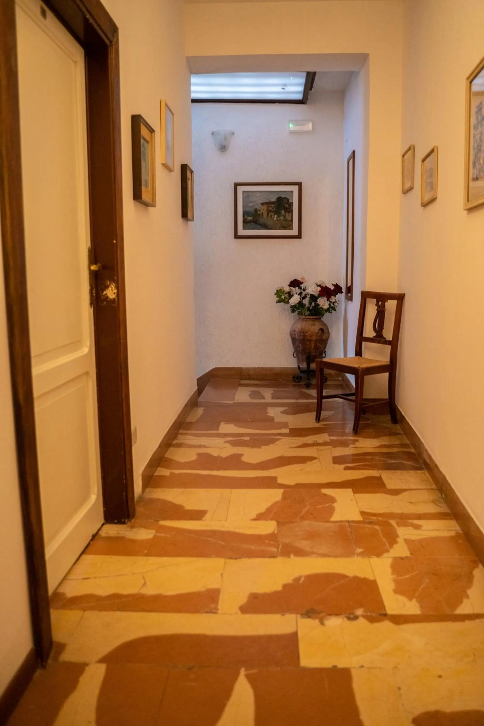 Area and facilities in Hotel Belvedere