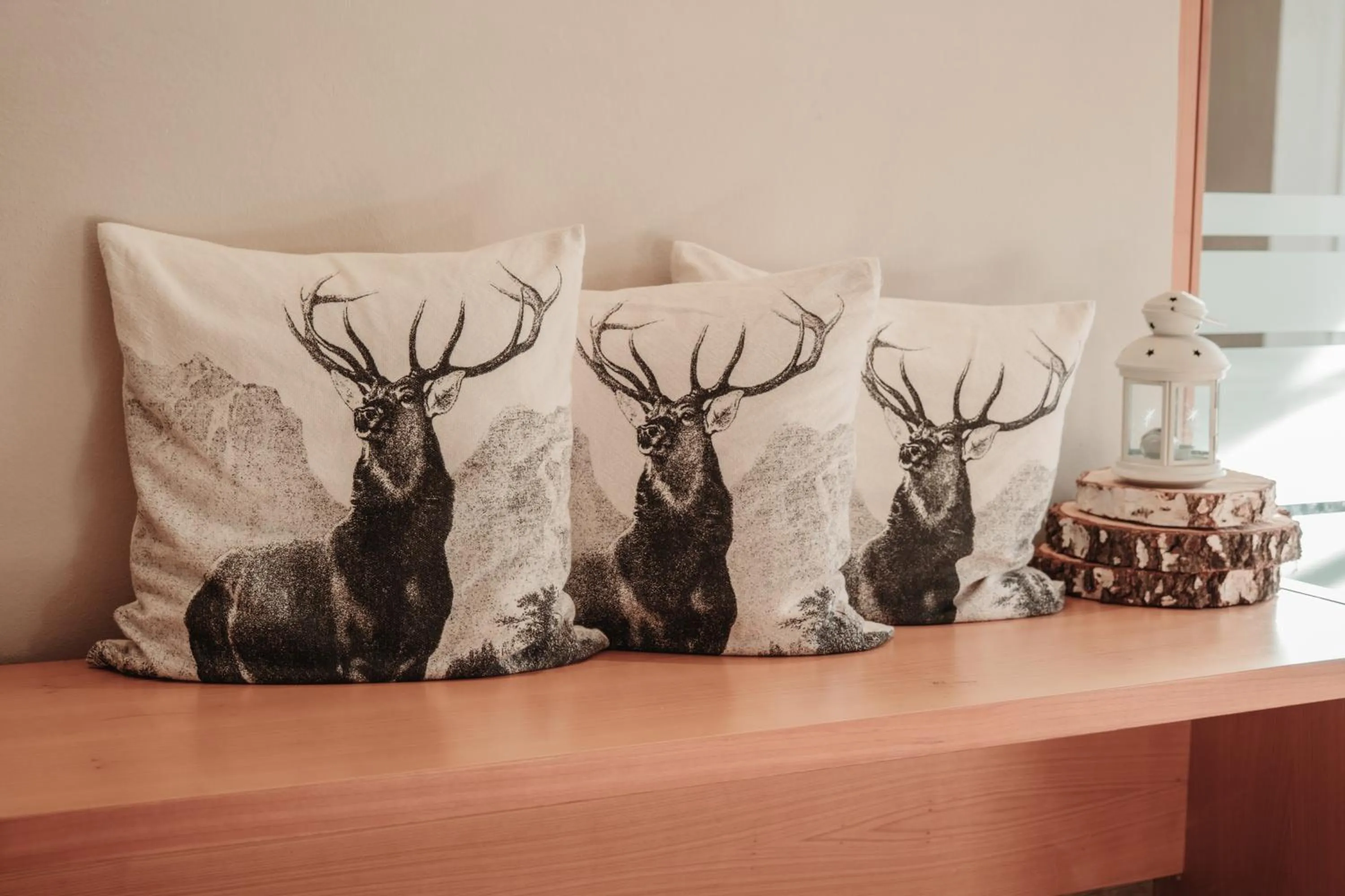 Decorative detail in Residence Hotel Alpinum