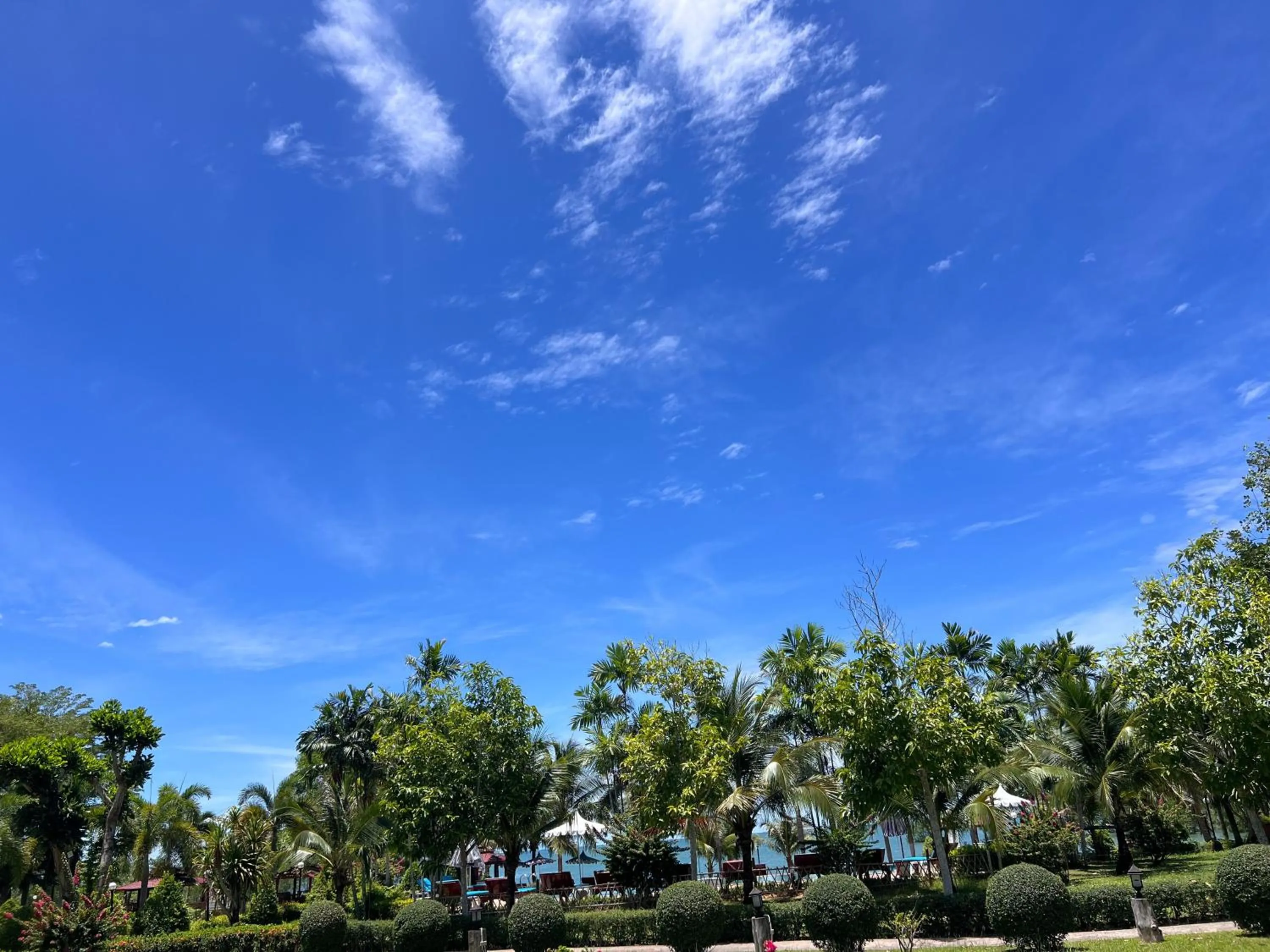 Natural landscape in Diamond Beach Resort