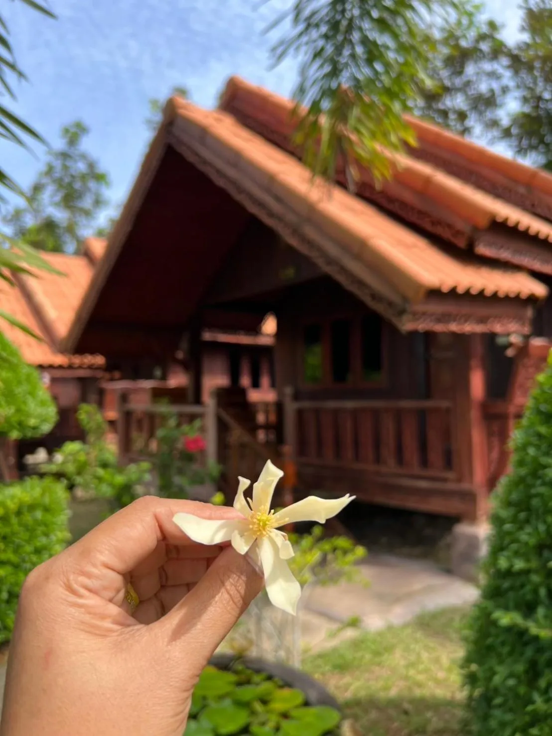 Garden in Diamond Beach Resort