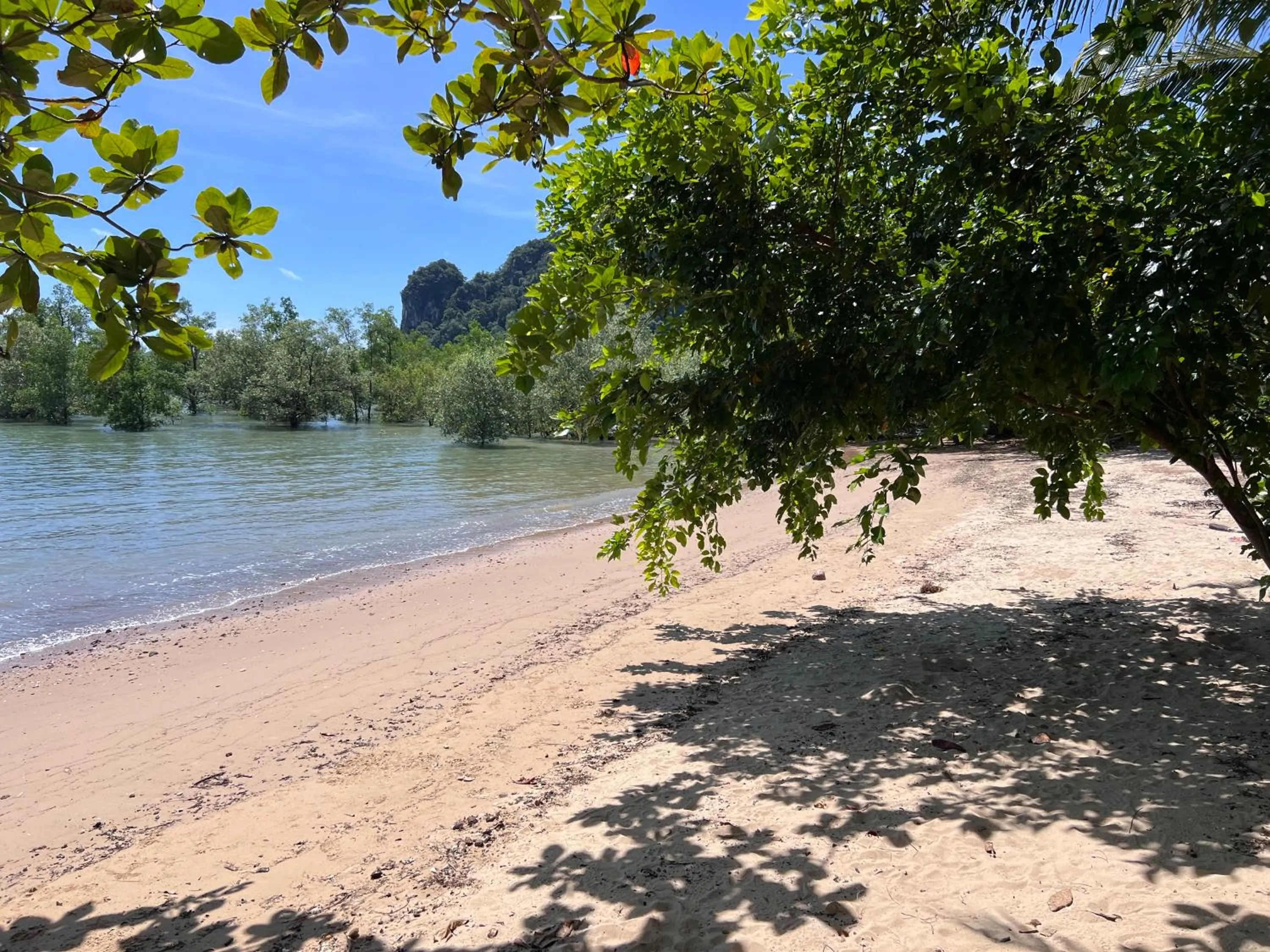 Natural landscape in Diamond Beach Resort