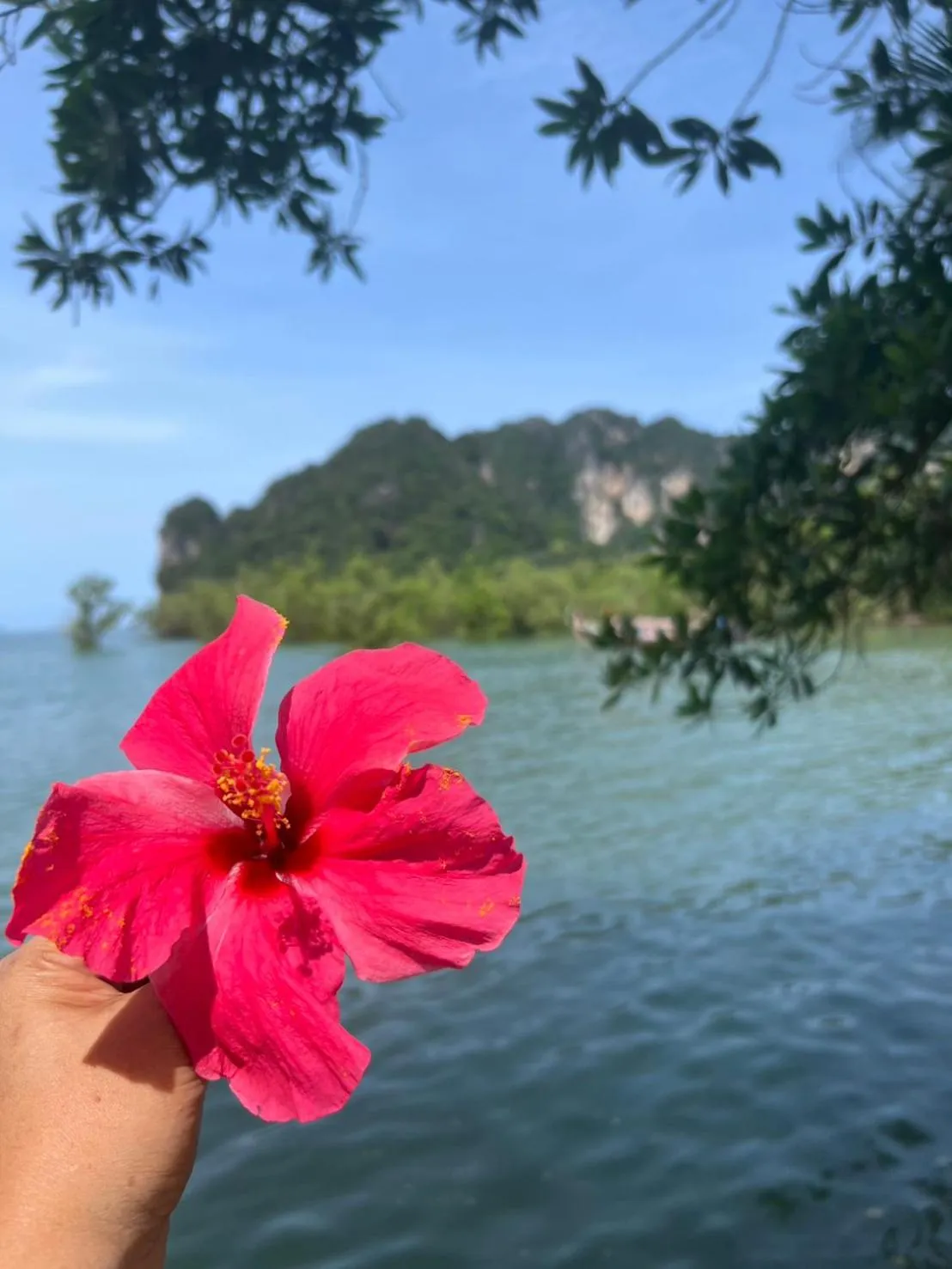 Natural landscape in Diamond Beach Resort