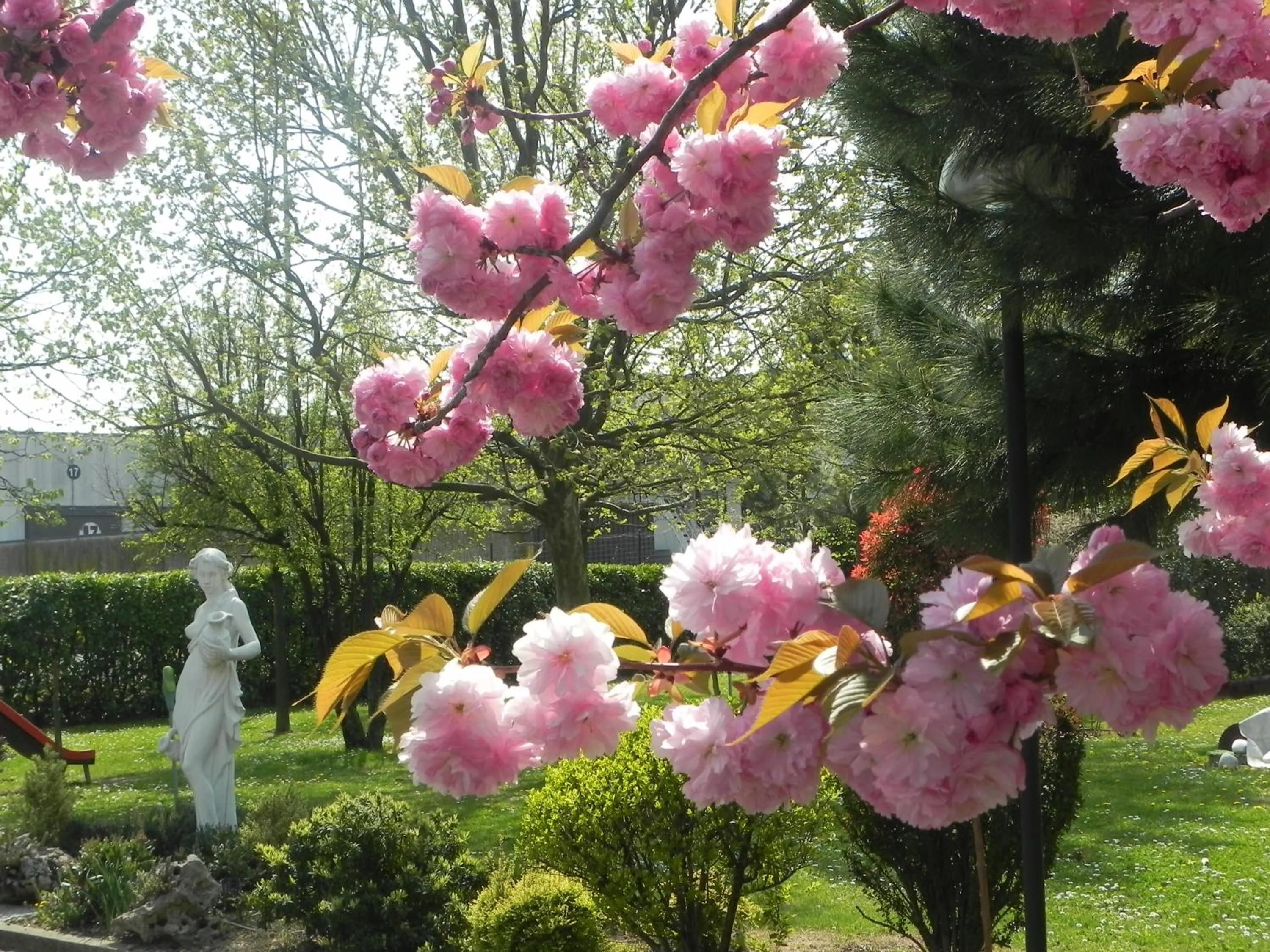 Spring in Hotel Il Maglio