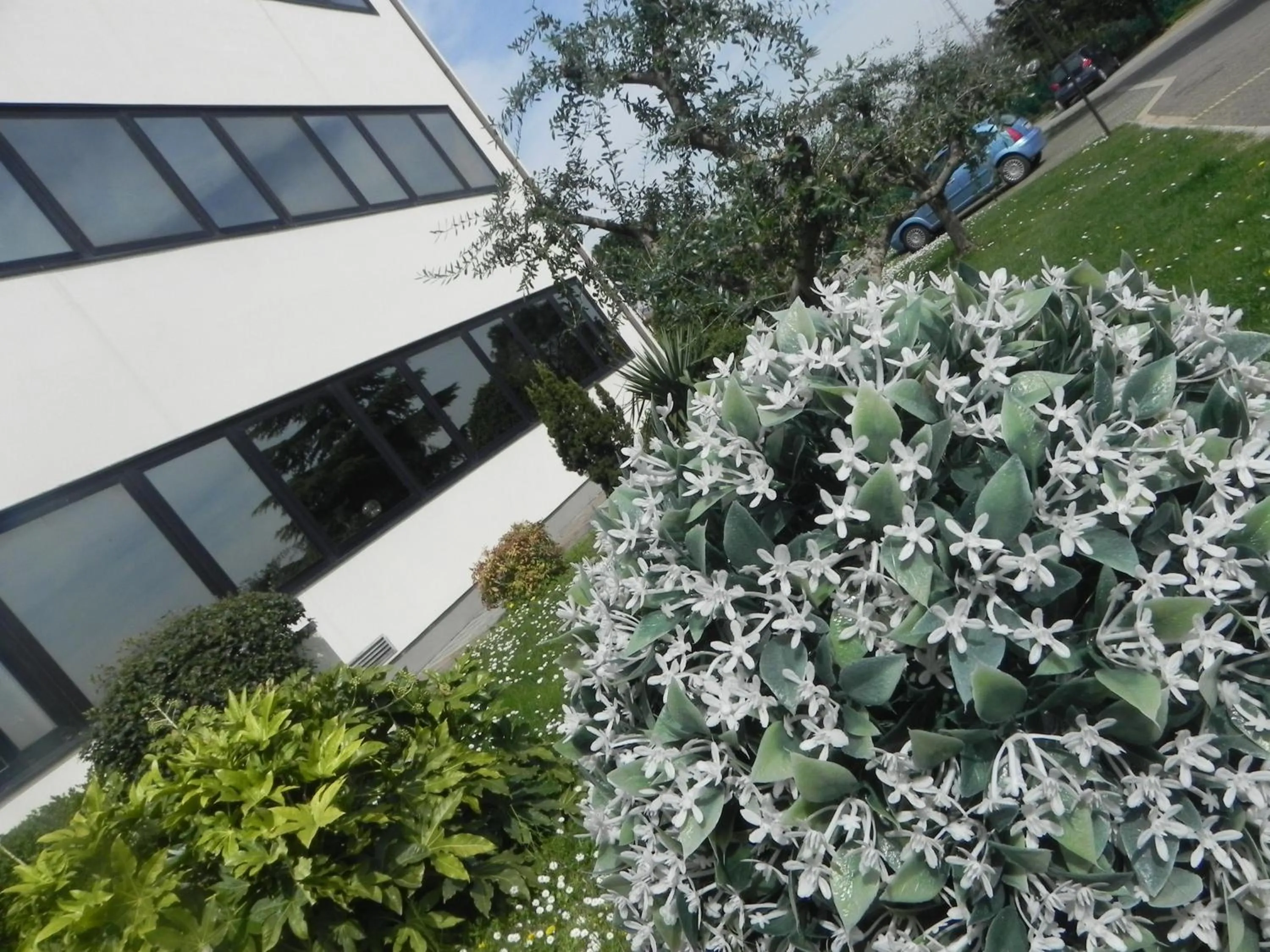 Facade/entrance in Hotel Il Maglio