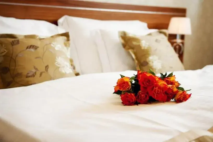 Double or Twin Room in Wellness hotel Spark Double or Twin Room in Wellness hotel Spark