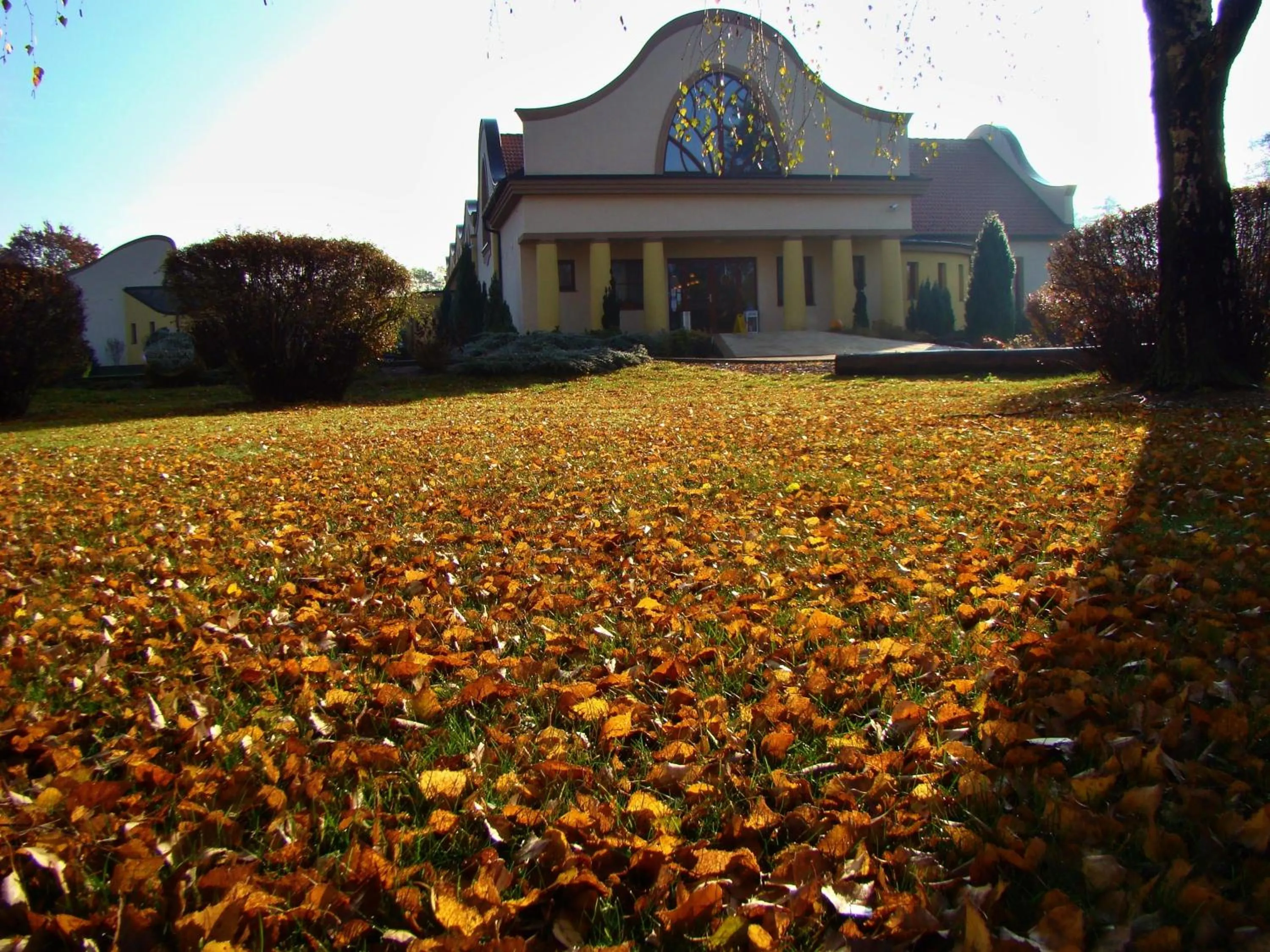 Garden in Wellness hotel Spark