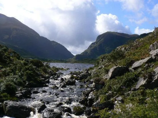 The Ferris Wheel B&B