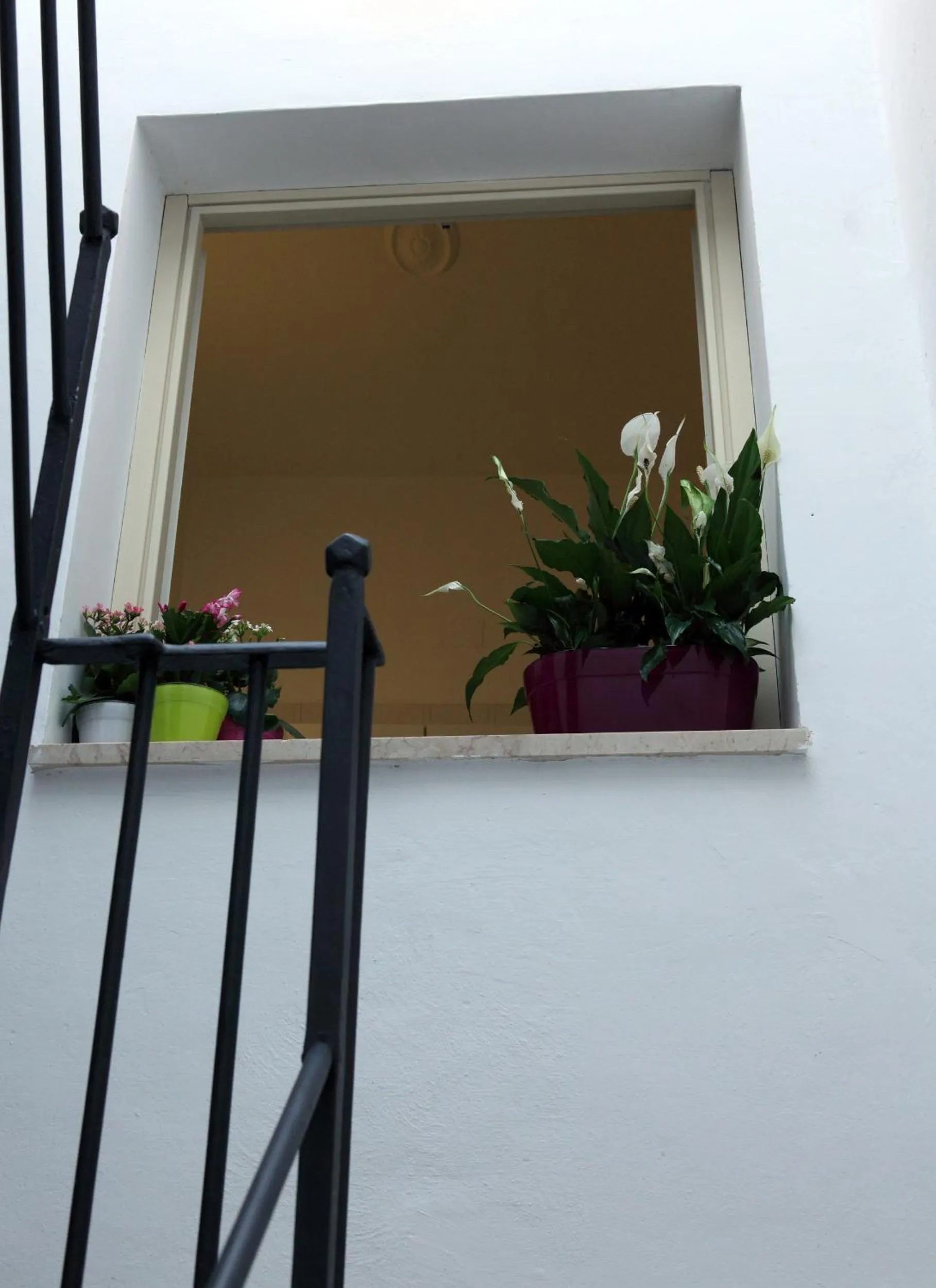 Decorative detail in B&B La Terrazza Sul Porto