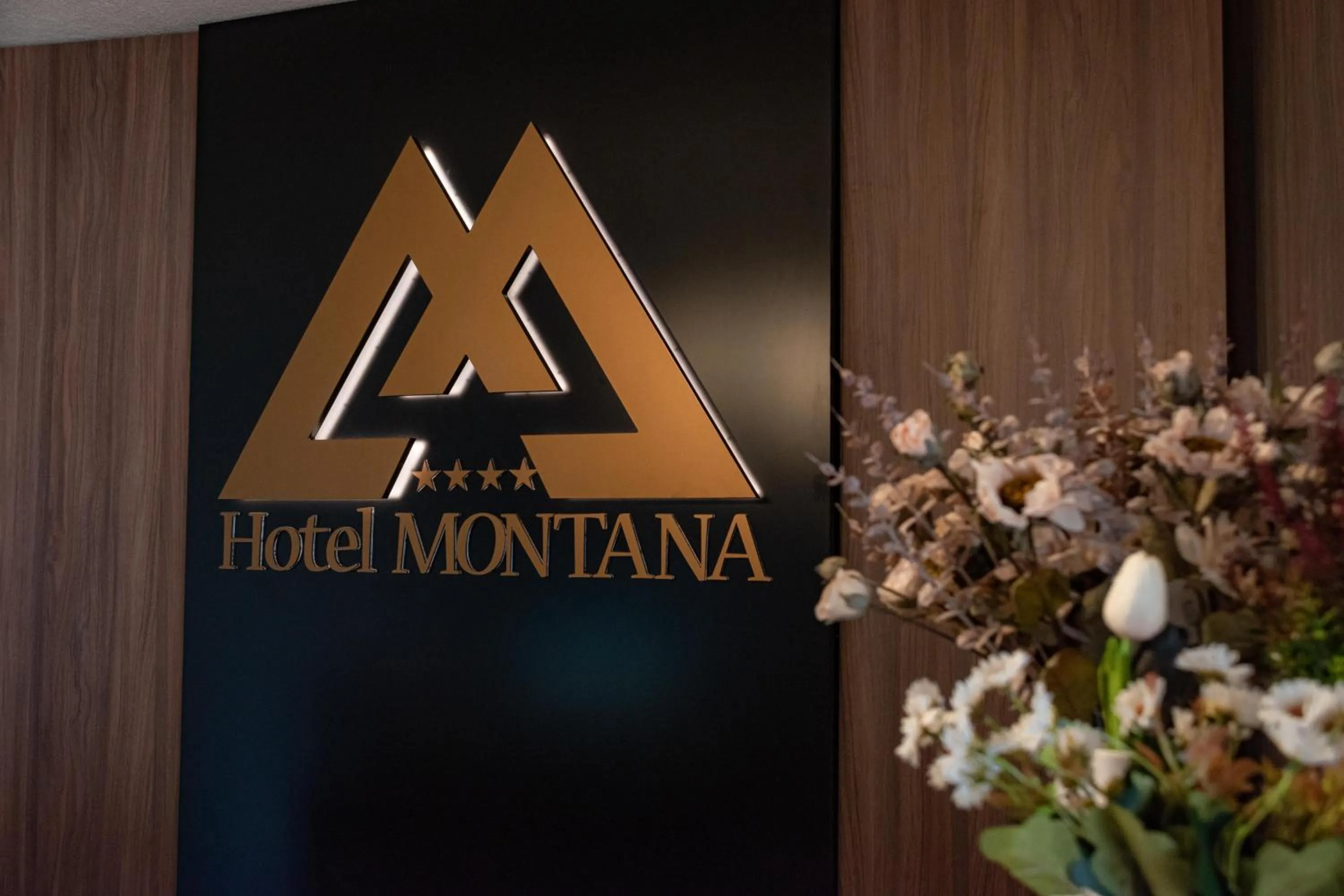 Hotel Montana SPA