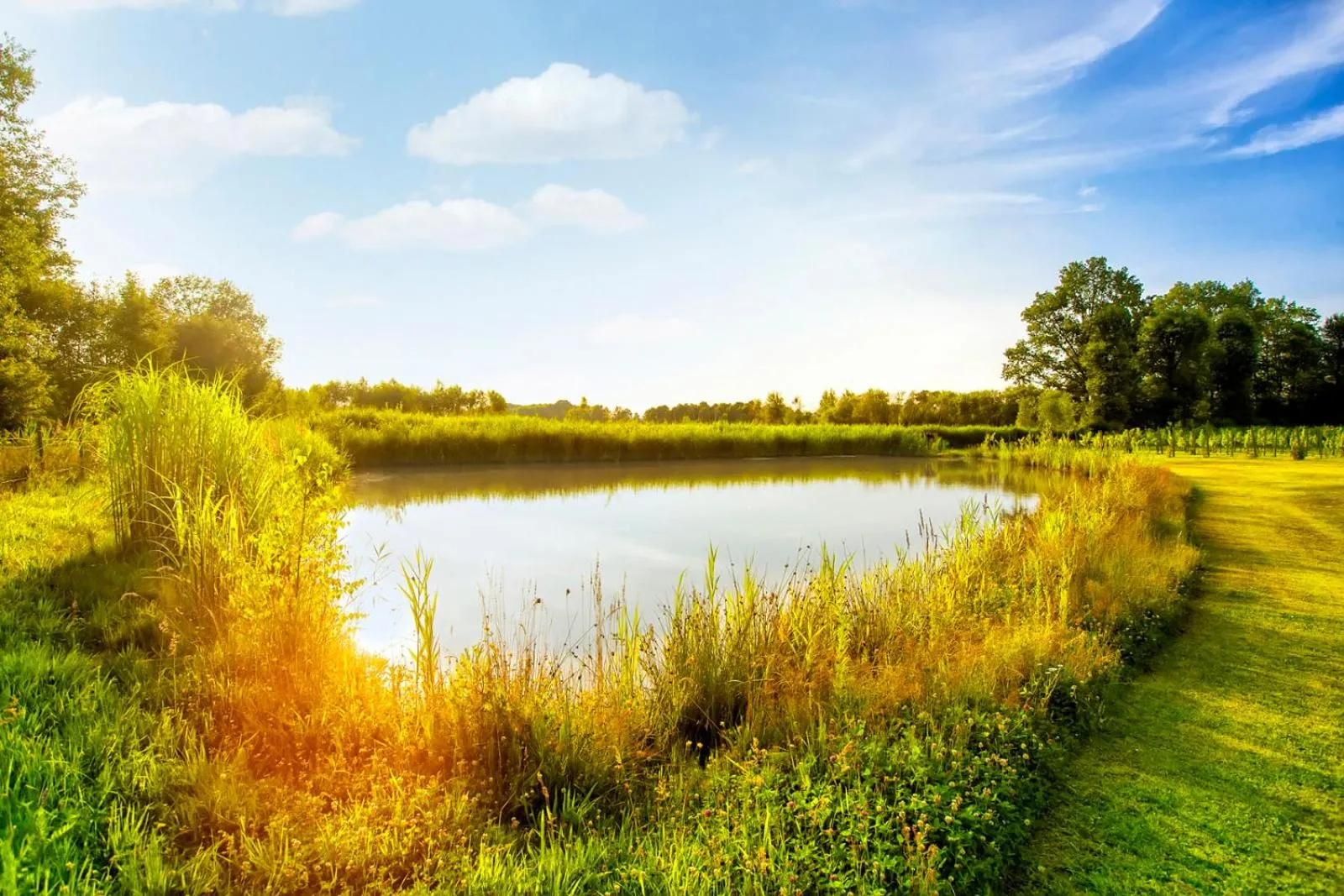 Fishing in Pałac Wiechlice - Hotel, Restaurant, SPA