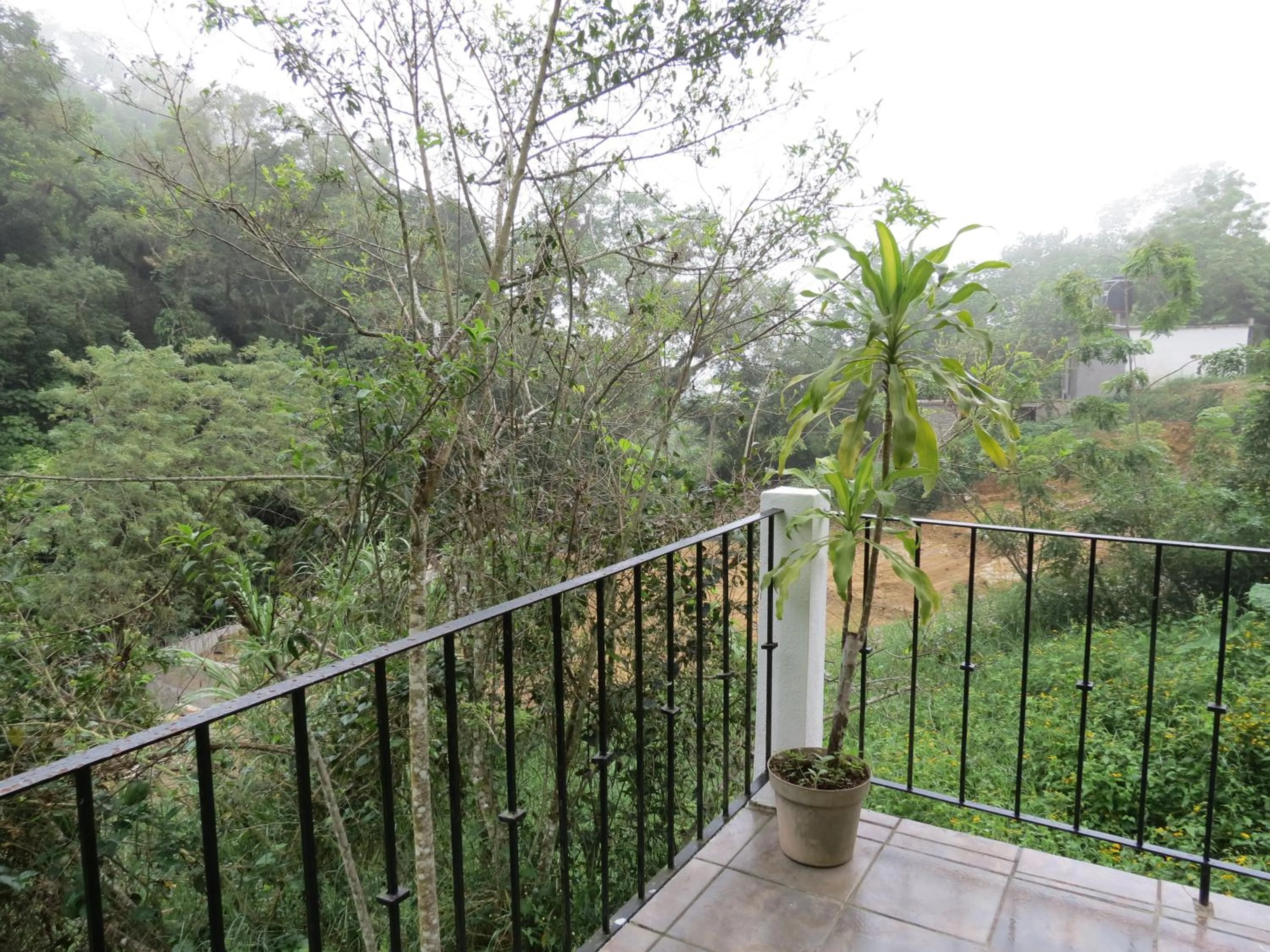 Balcony/Terrace in Casa Verde Xilitla By Rotamundos