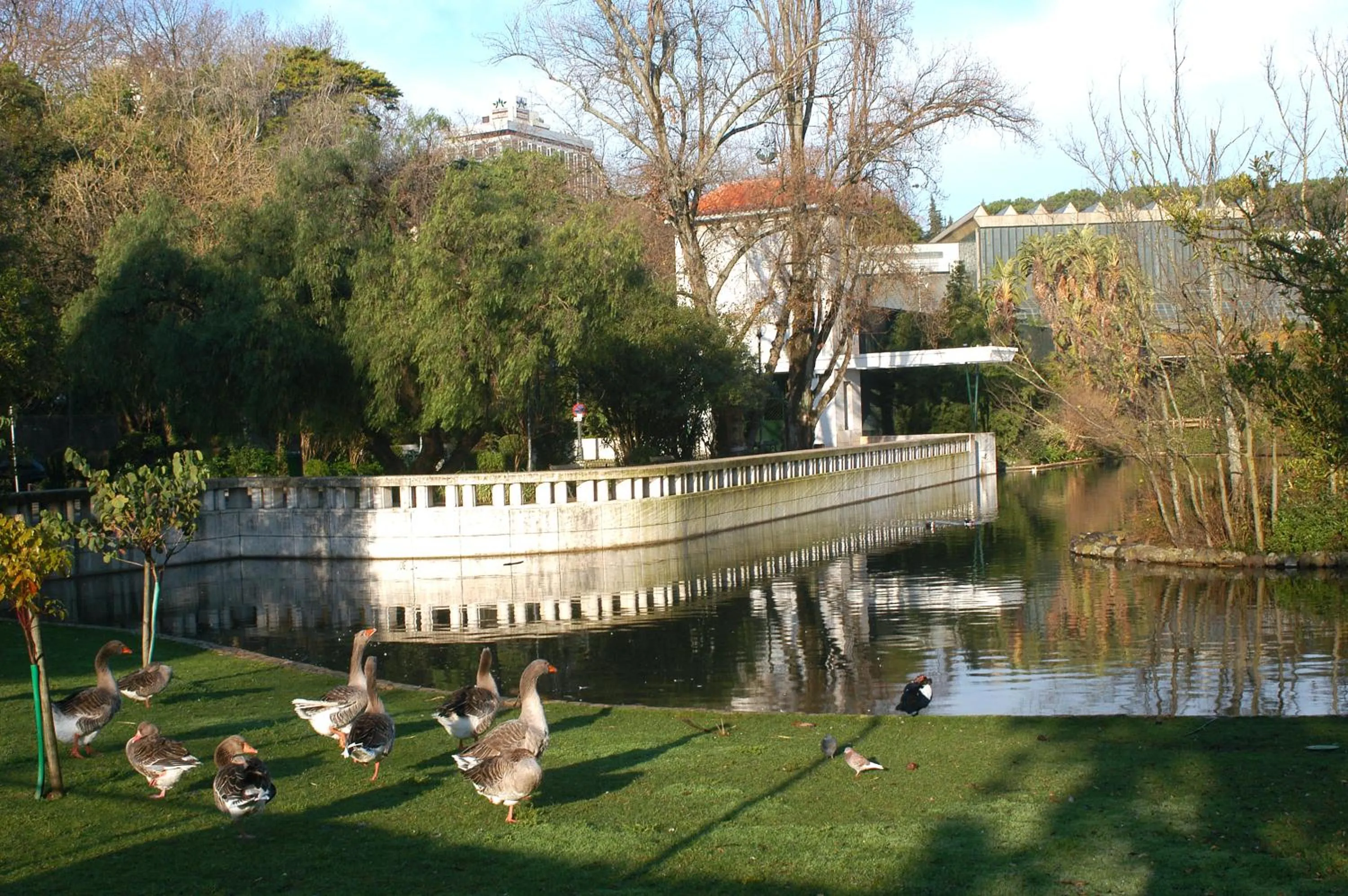 View (from property/room) in Hotel Miraparque