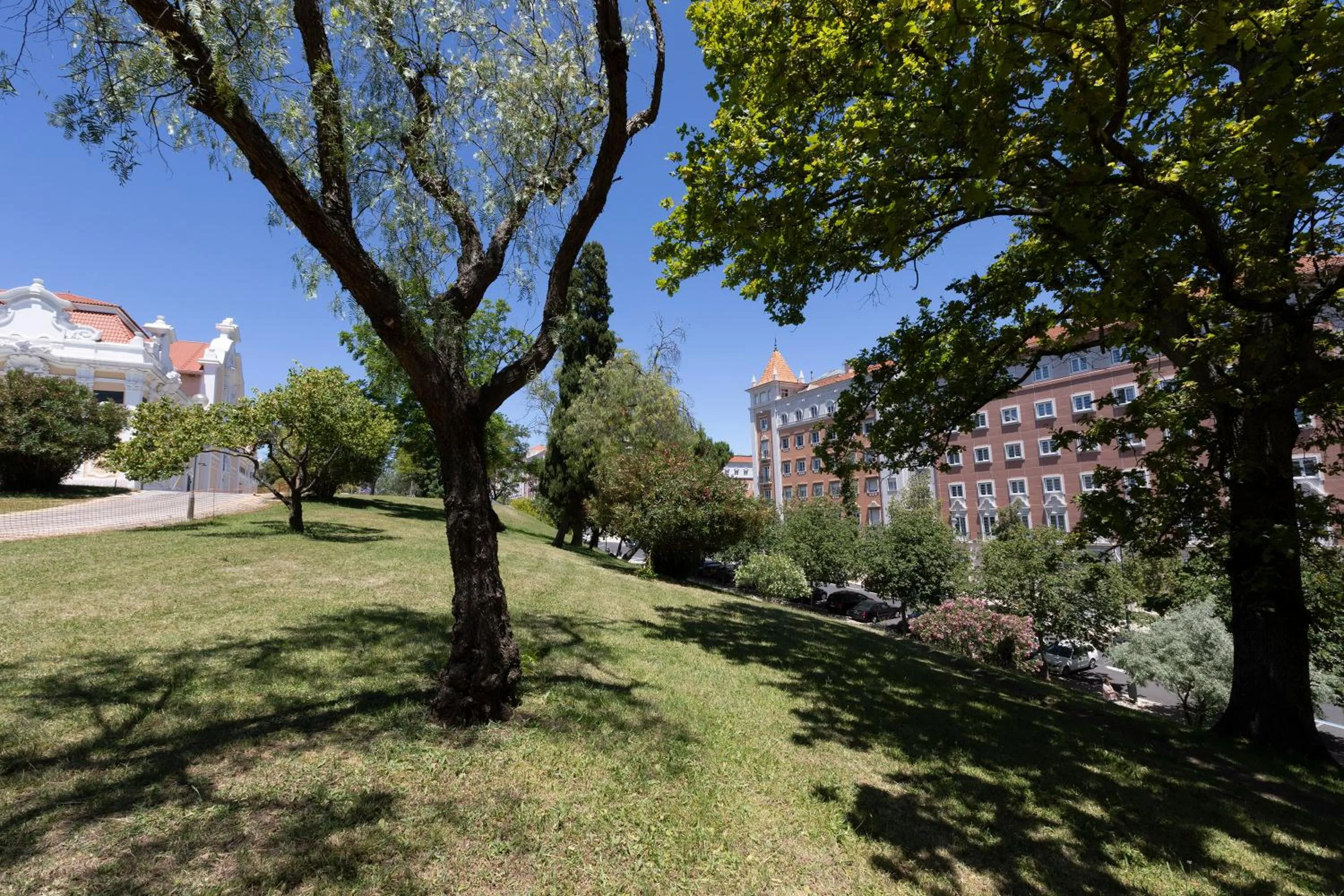 View (from property/room) in Hotel Miraparque