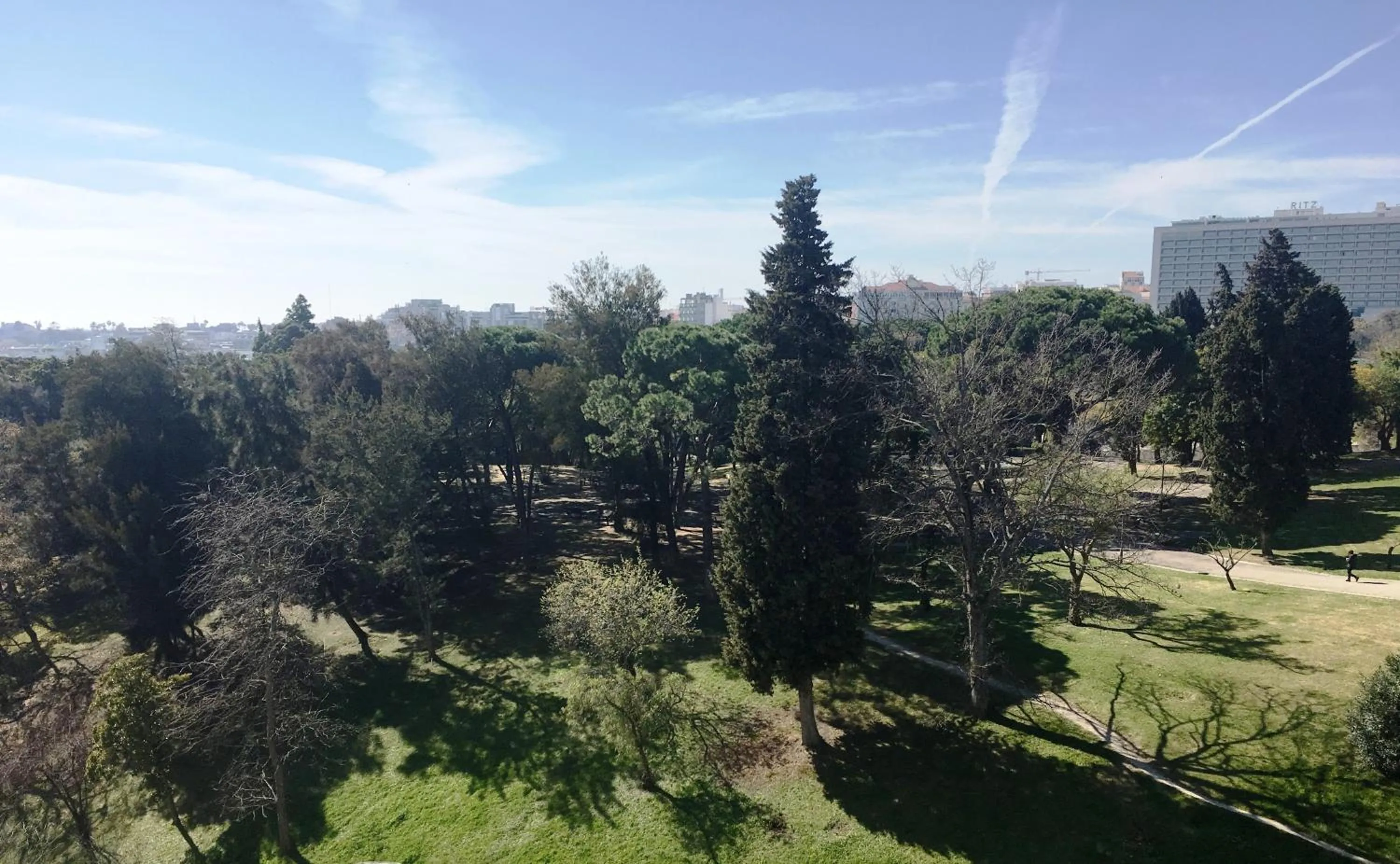 Garden view in Hotel Miraparque