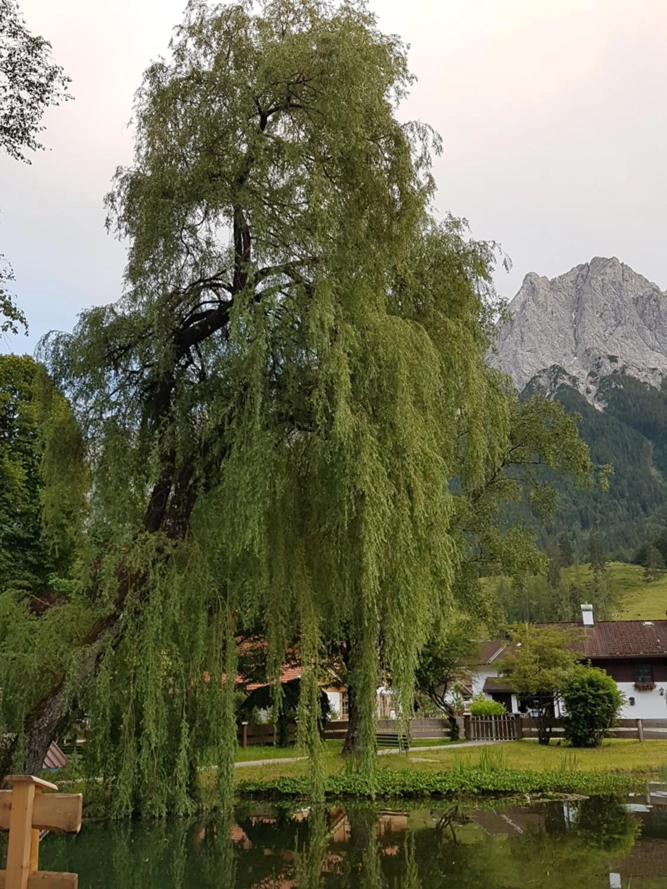 Nearby landmark in Zum Franziskaner