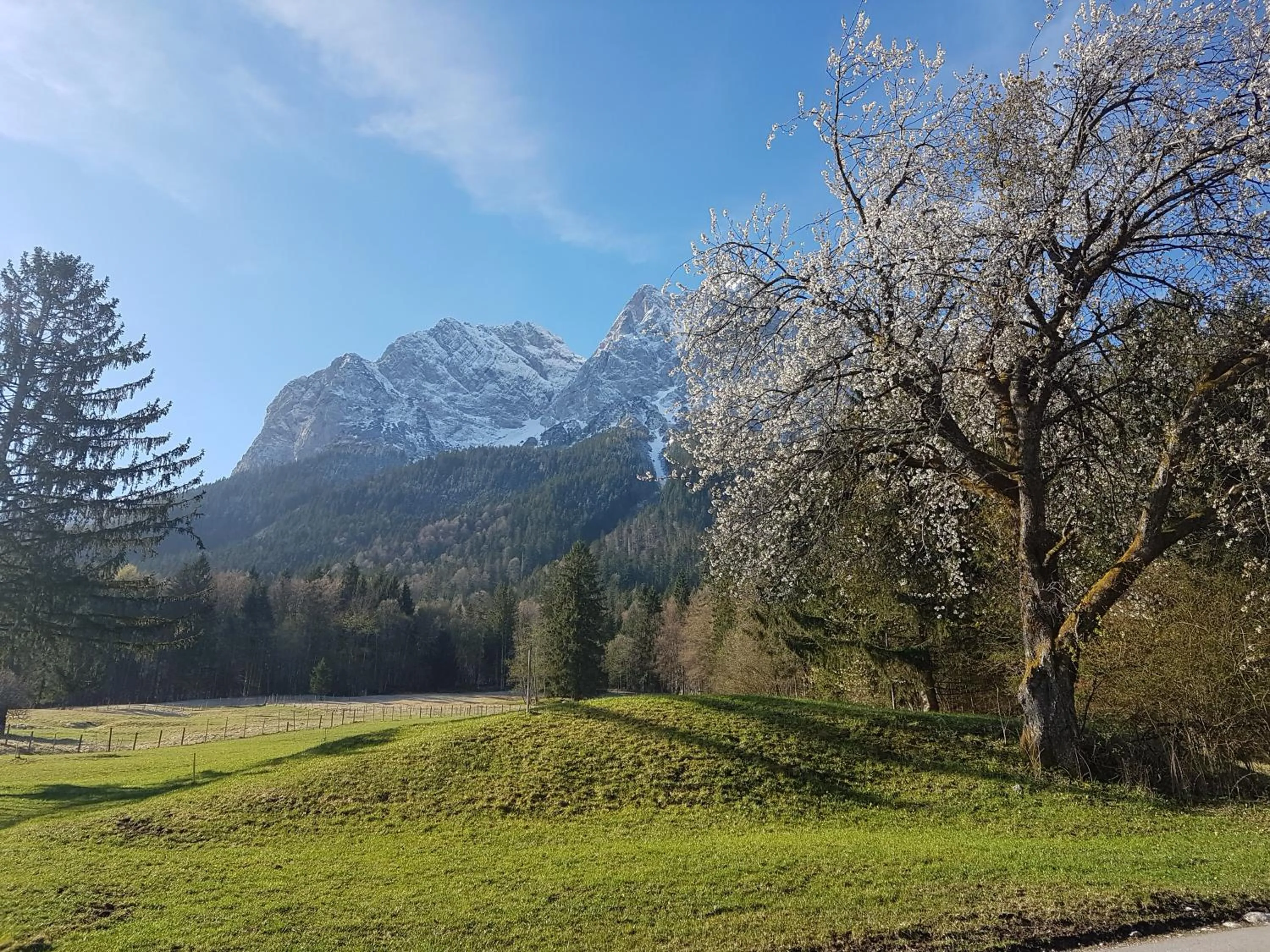 Nearby landmark in Zum Franziskaner