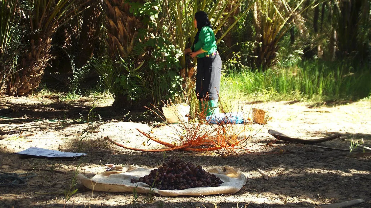 Spring in Gite Tamlli