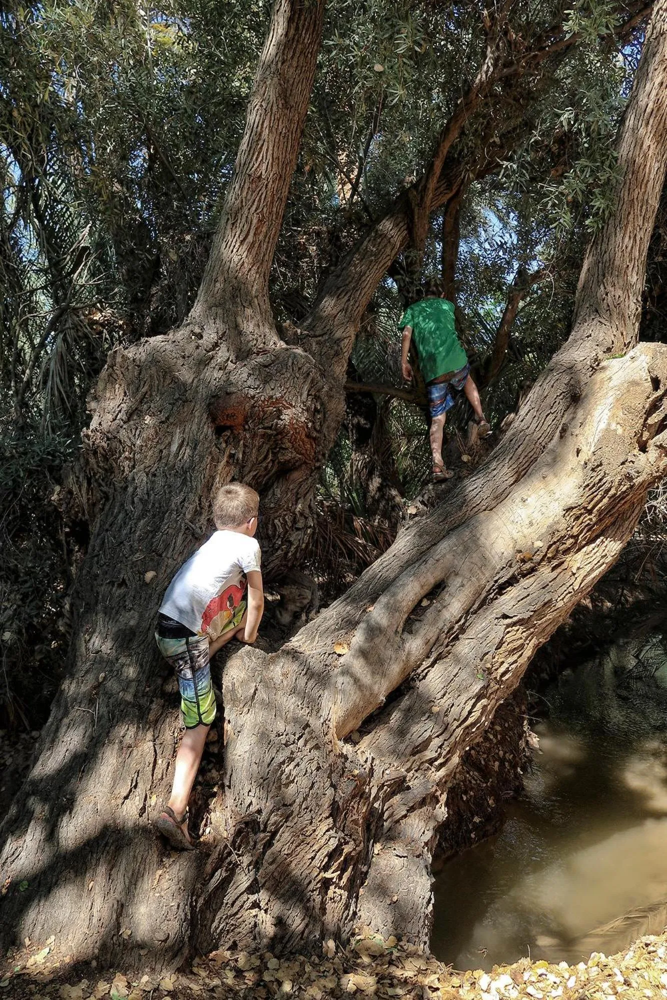 Spring in Gite Tamlli