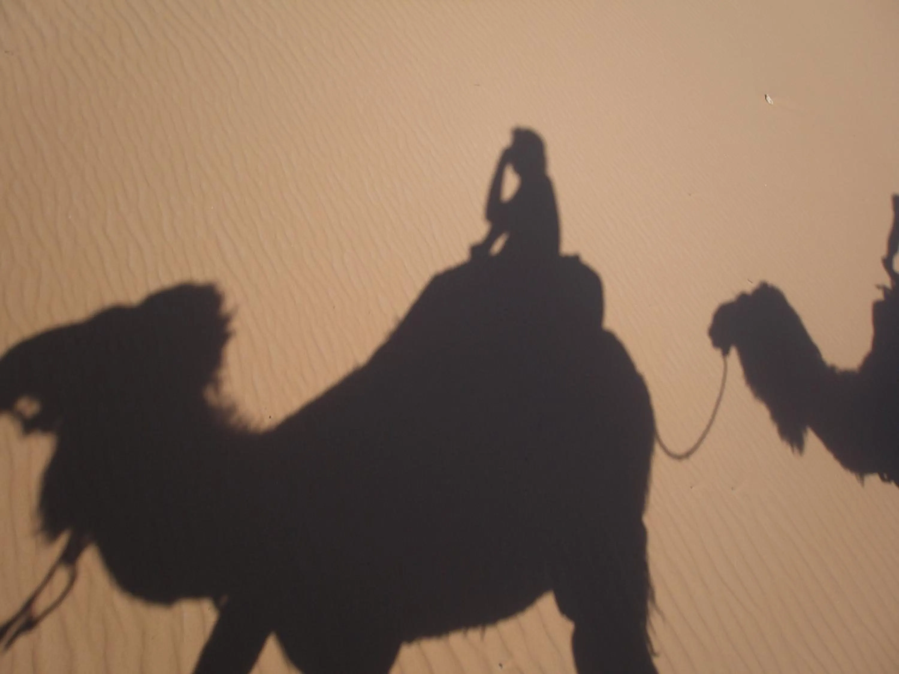 People in Gite Tamlli