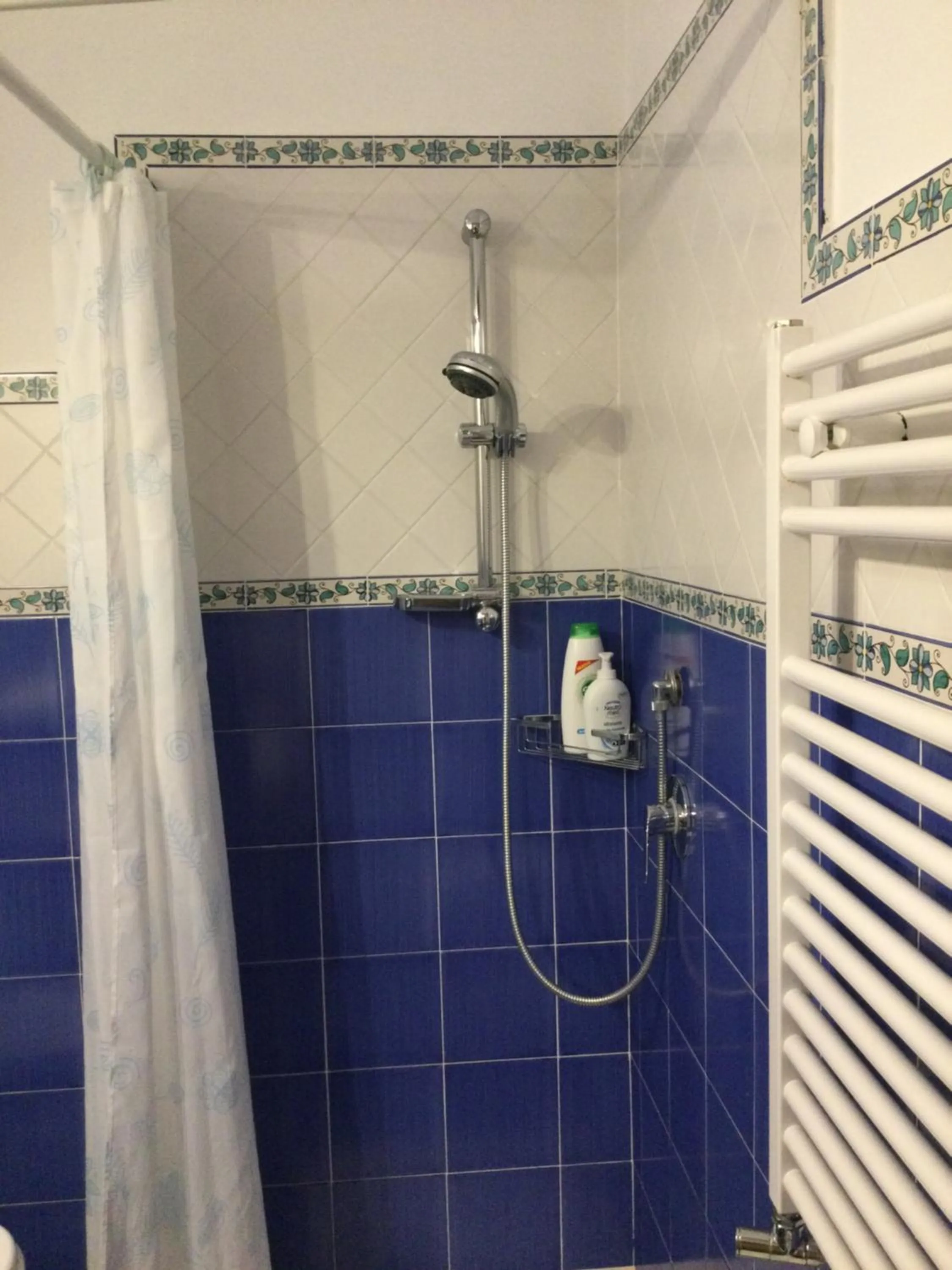 Shower in Villa Augusta