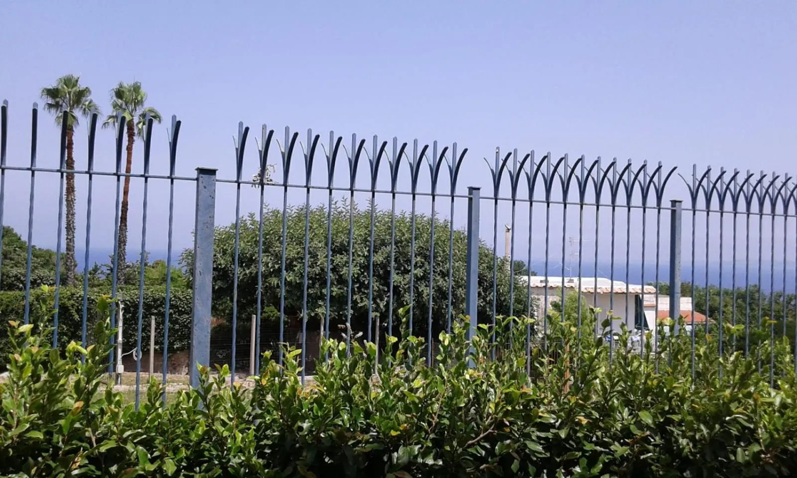 Natural landscape in Villa Augusta