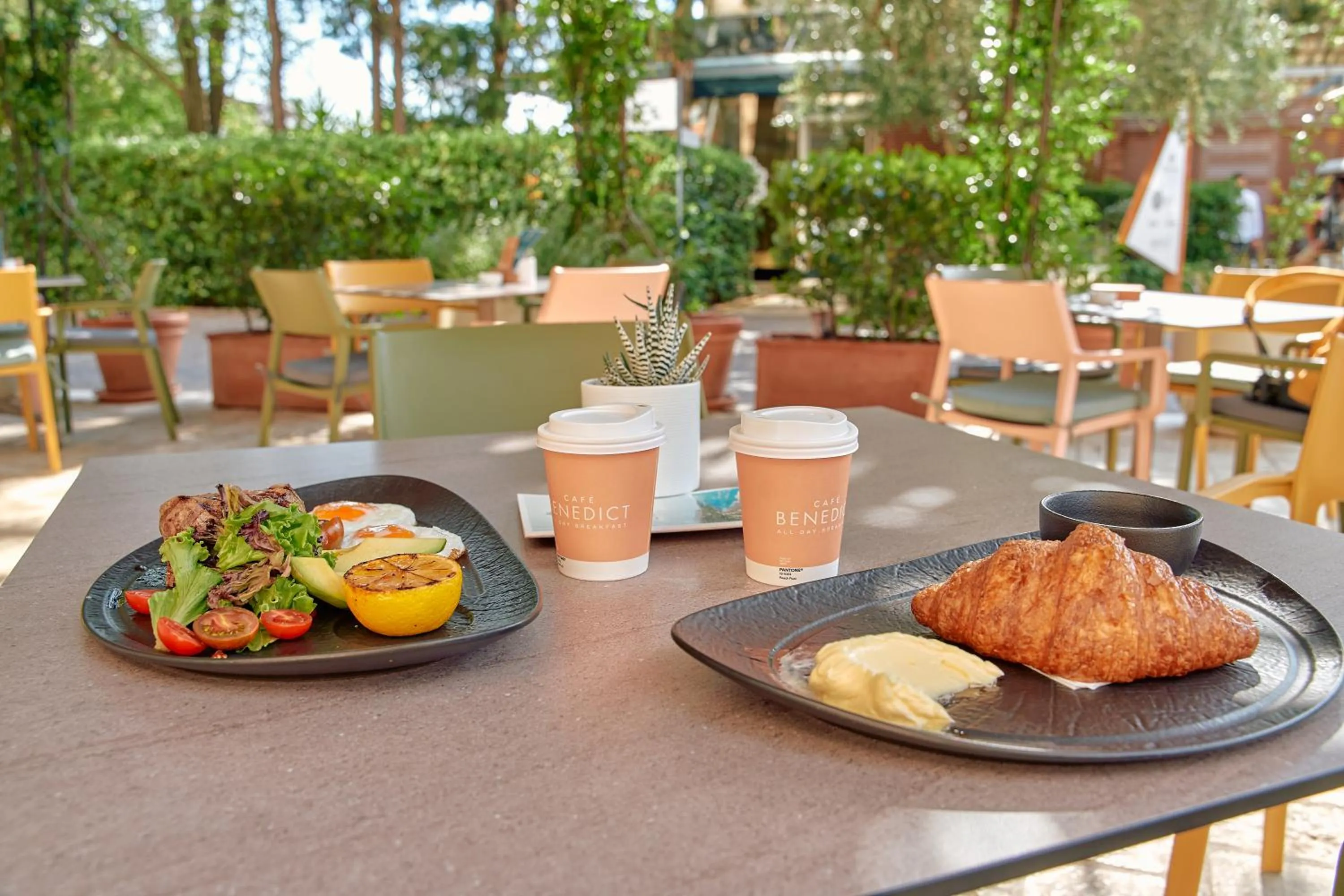 Restaurant/places to eat in Hotel Harmonia by Dukley