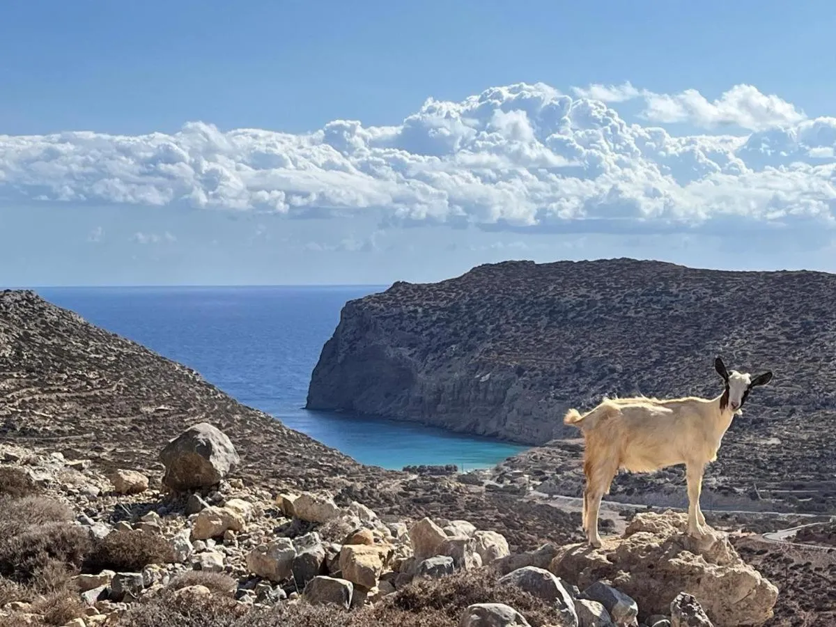 Aerikohotel - Apartments