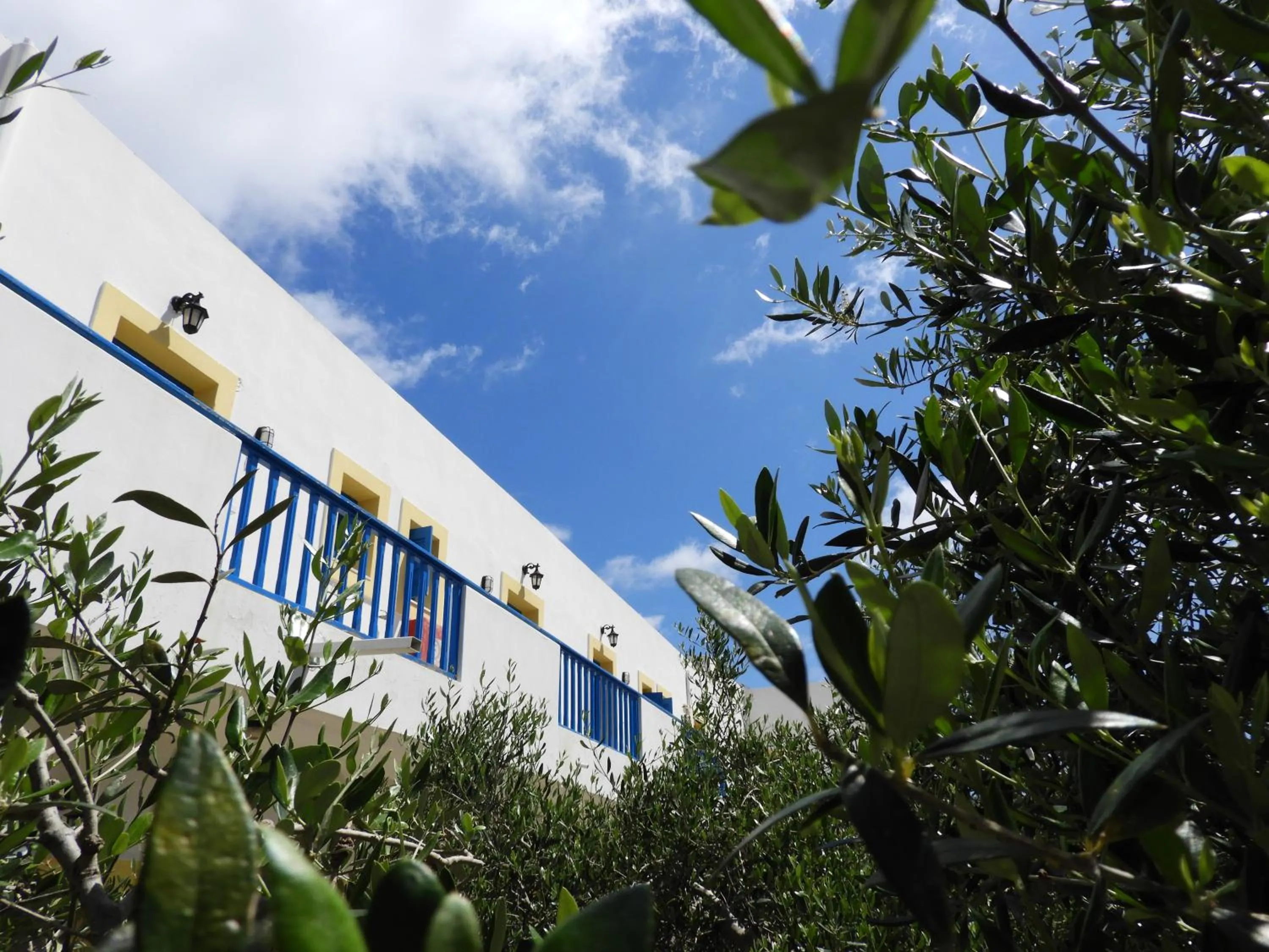 Kitchen or kitchenette in Aerikohotel - Apartments
