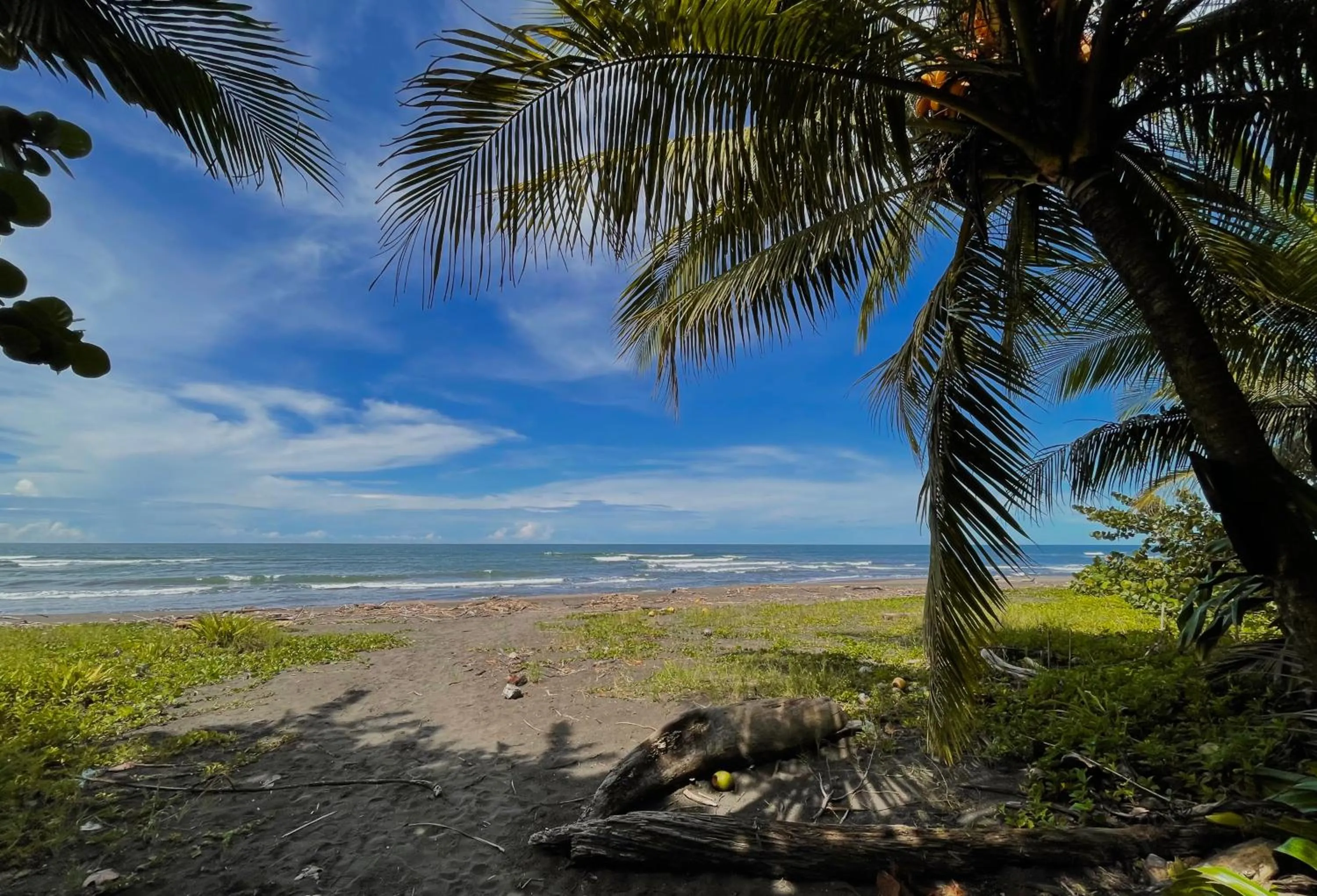 Beach in Hotel El Icaco Tortuguero