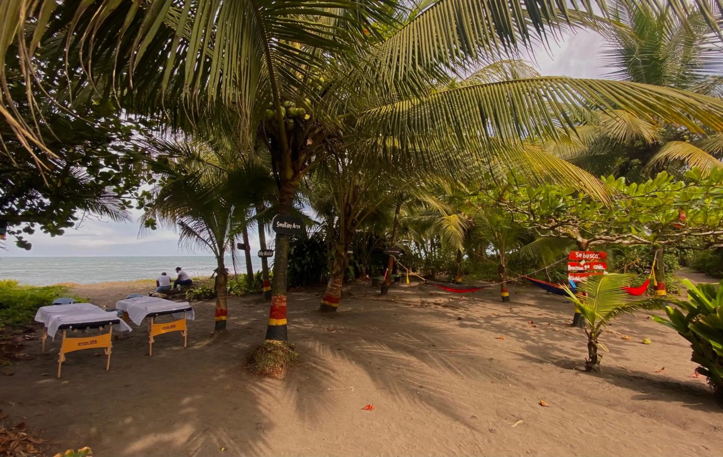 Beach in Hotel El Icaco Tortuguero