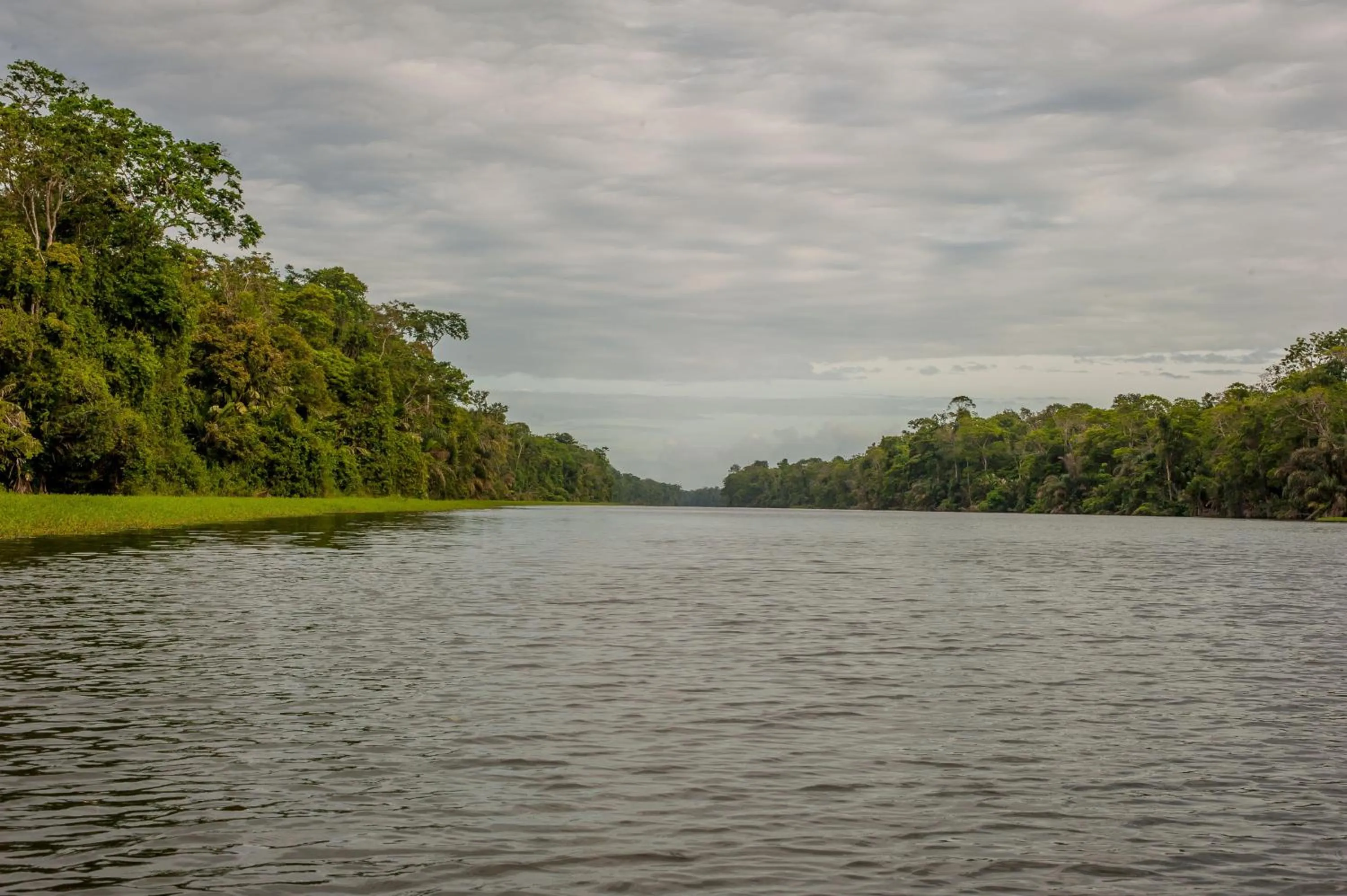 River view in Hotel El Icaco Tortuguero