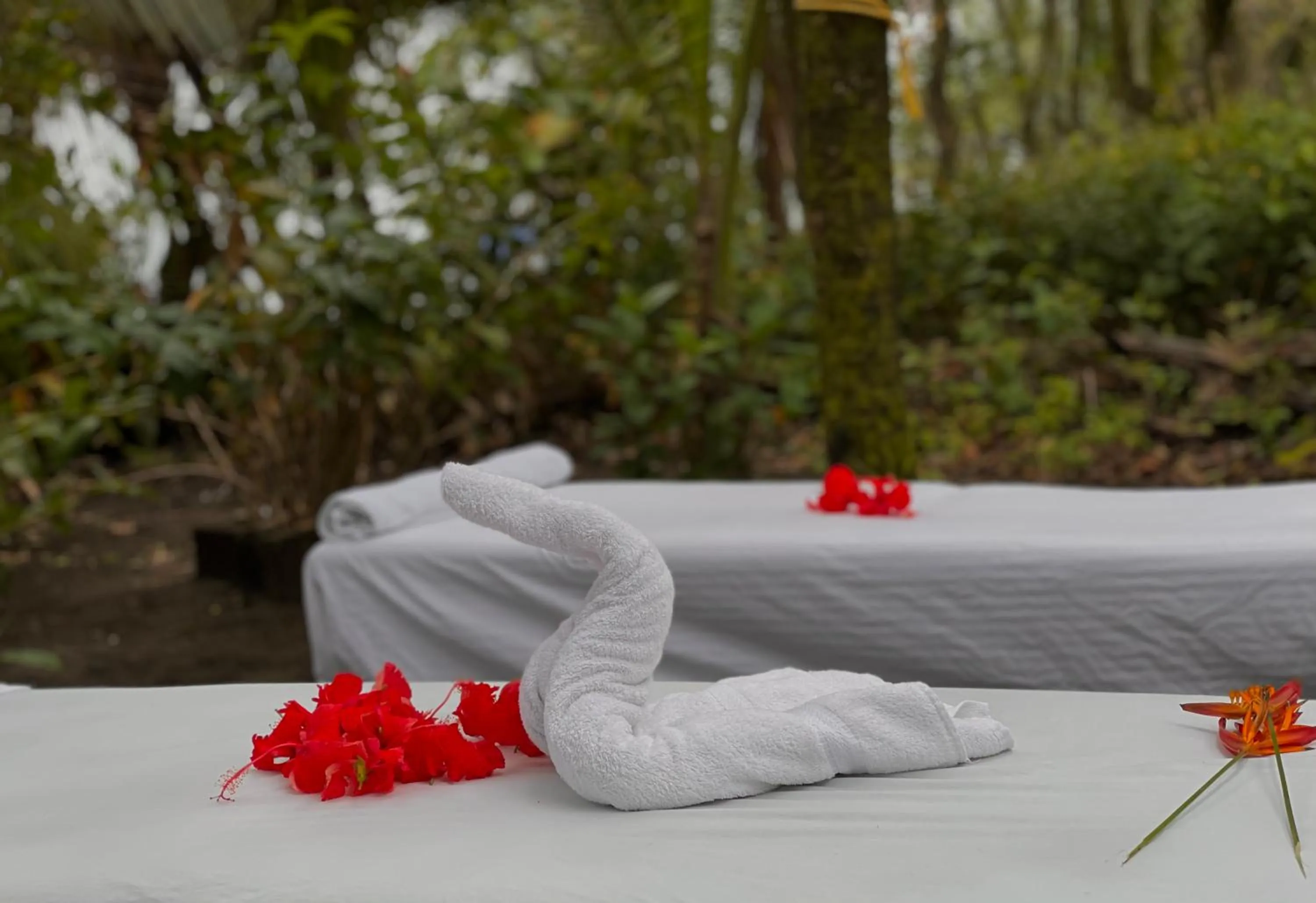 Massage in Hotel El Icaco Tortuguero