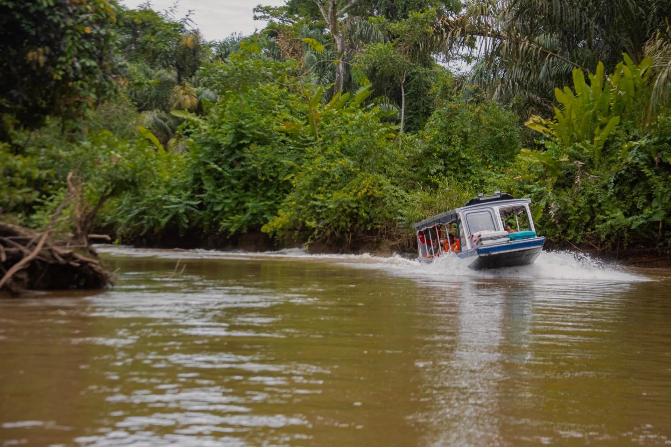 Day in Hotel El Icaco Tortuguero