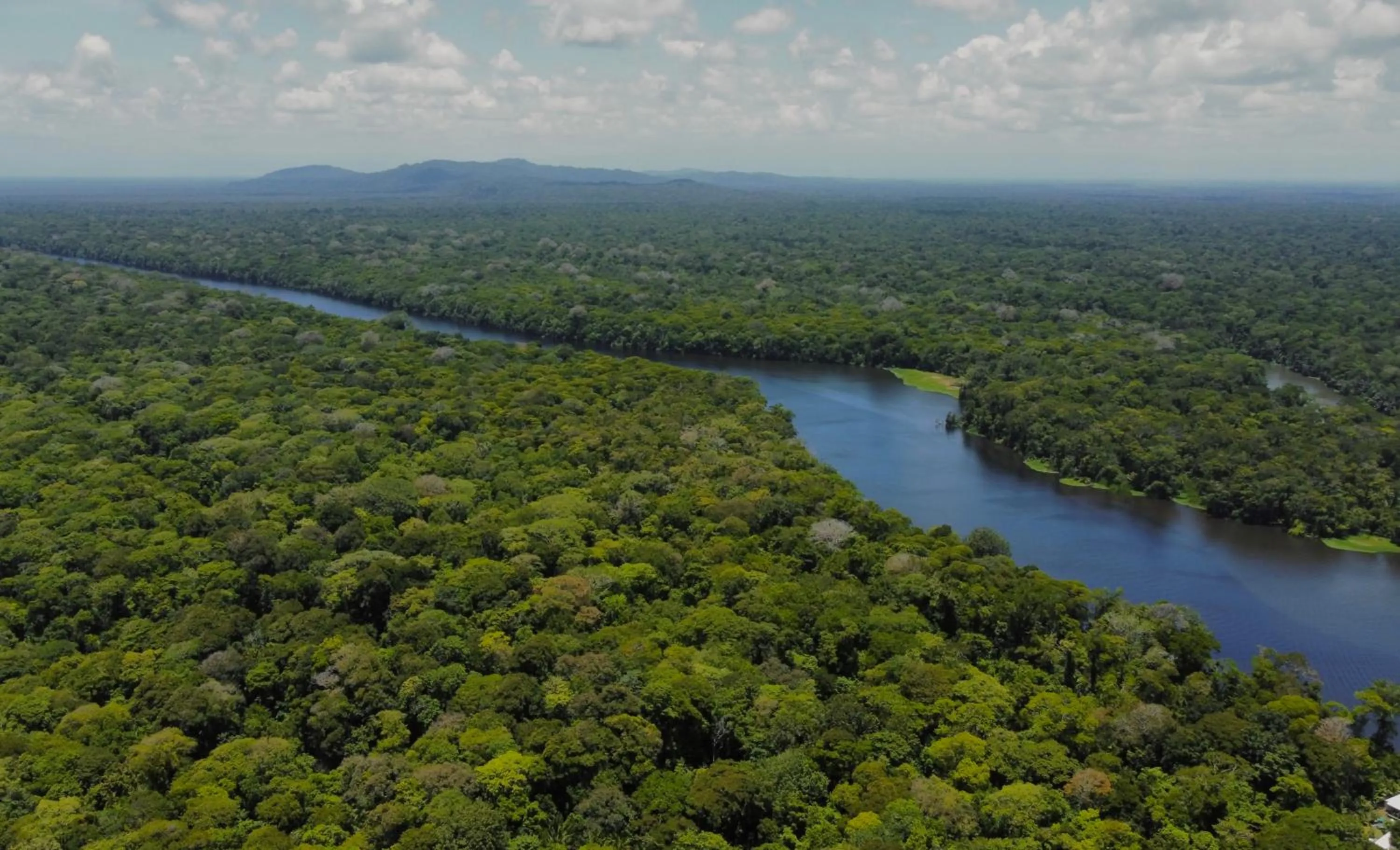 Bird's eye view in Hotel El Icaco Tortuguero