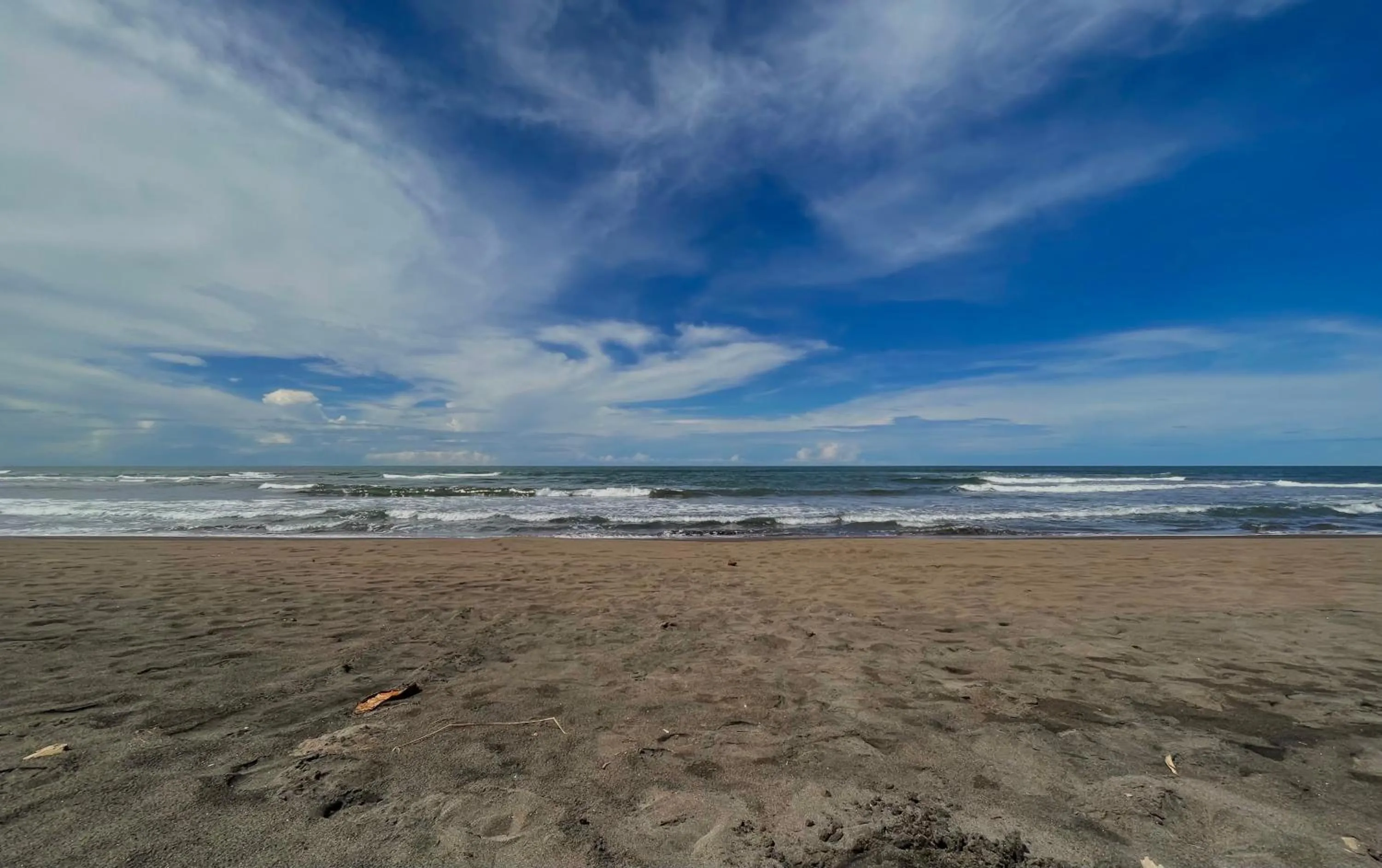 Natural landscape in Hotel El Icaco Tortuguero