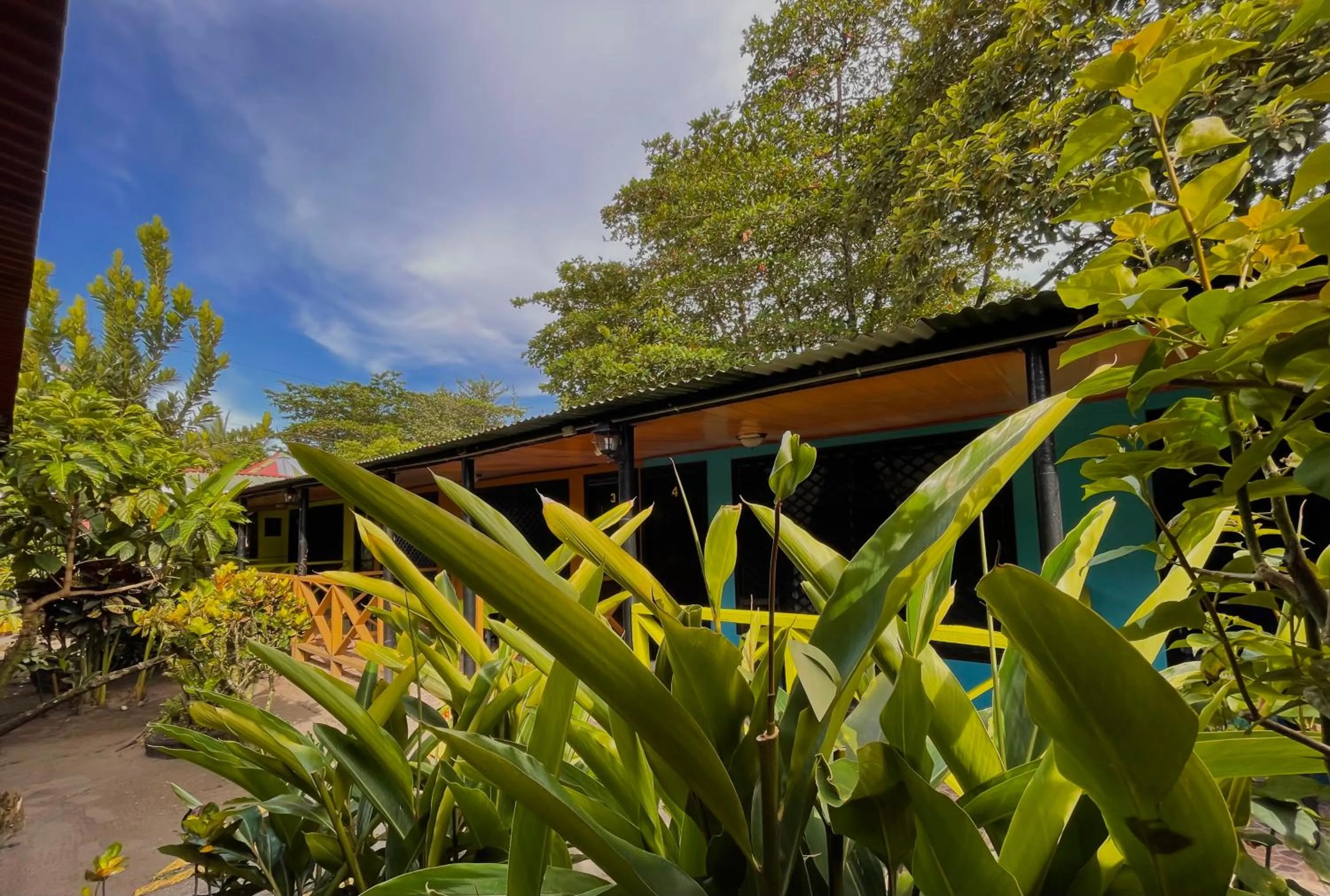Property building in Hotel El Icaco Tortuguero