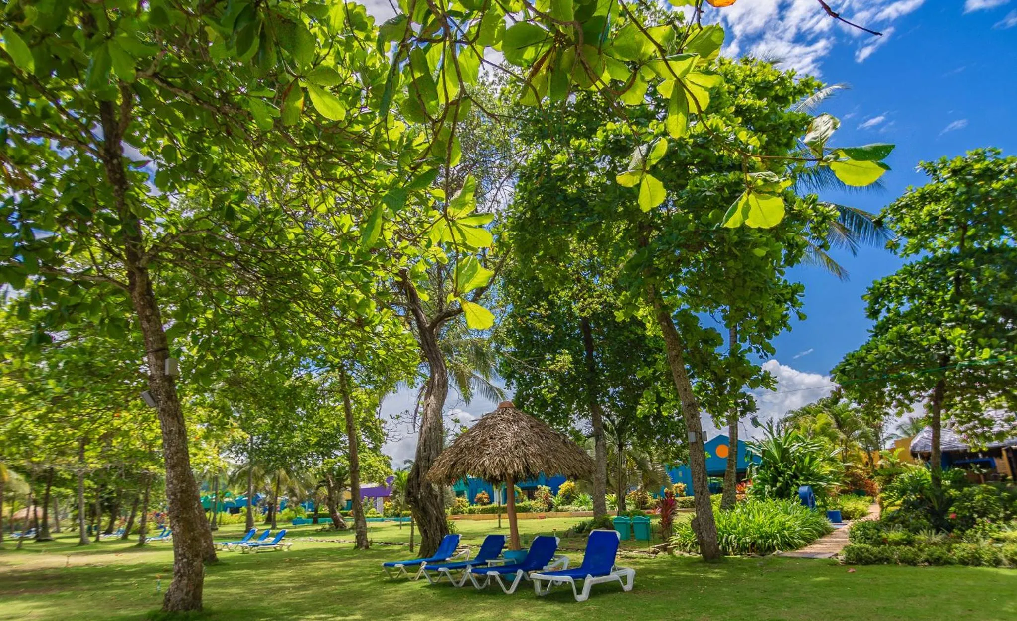 Garden in Alma del Pacifico Hotel & Spa