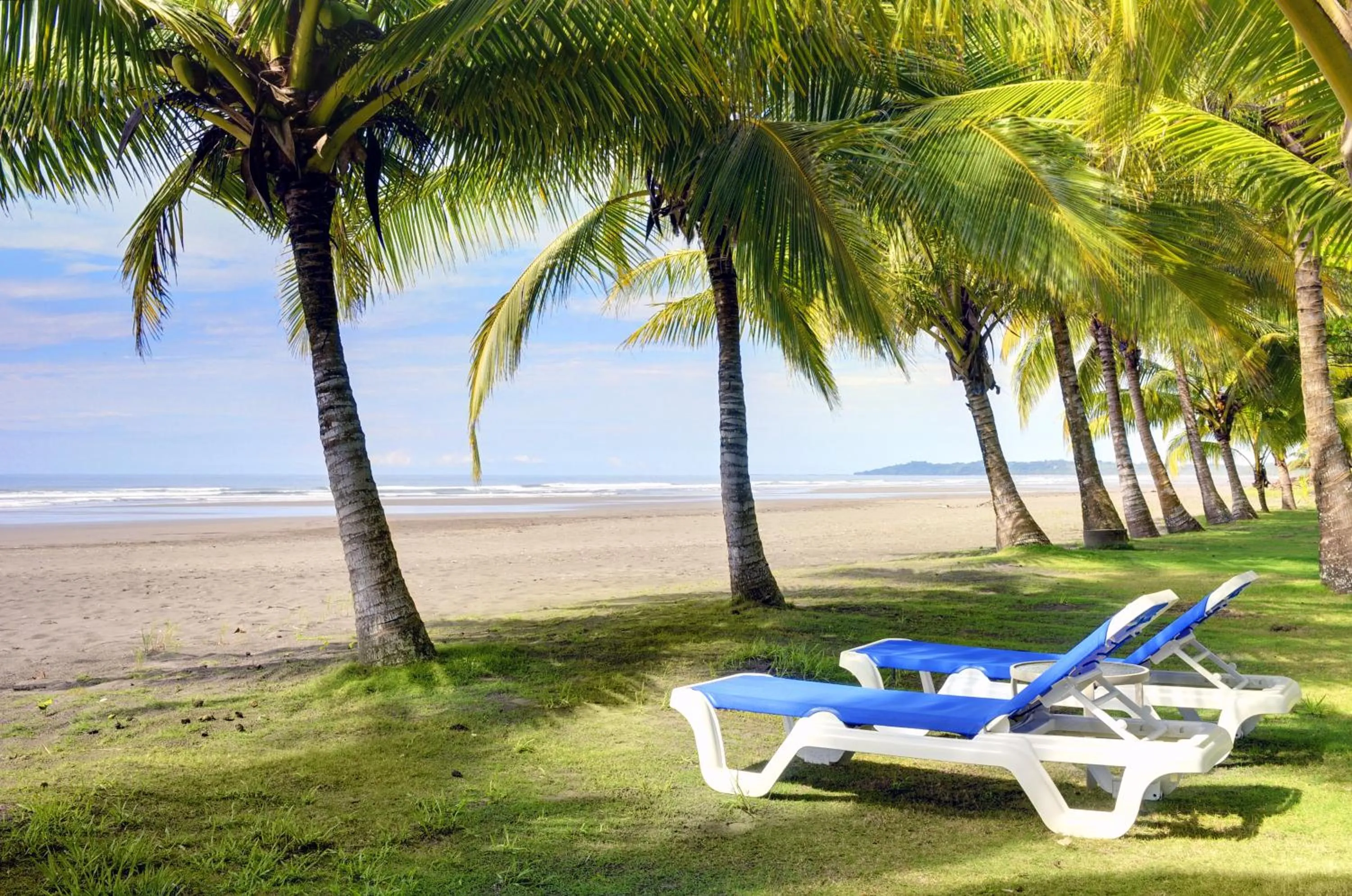 Garden view in Alma del Pacifico Hotel & Spa