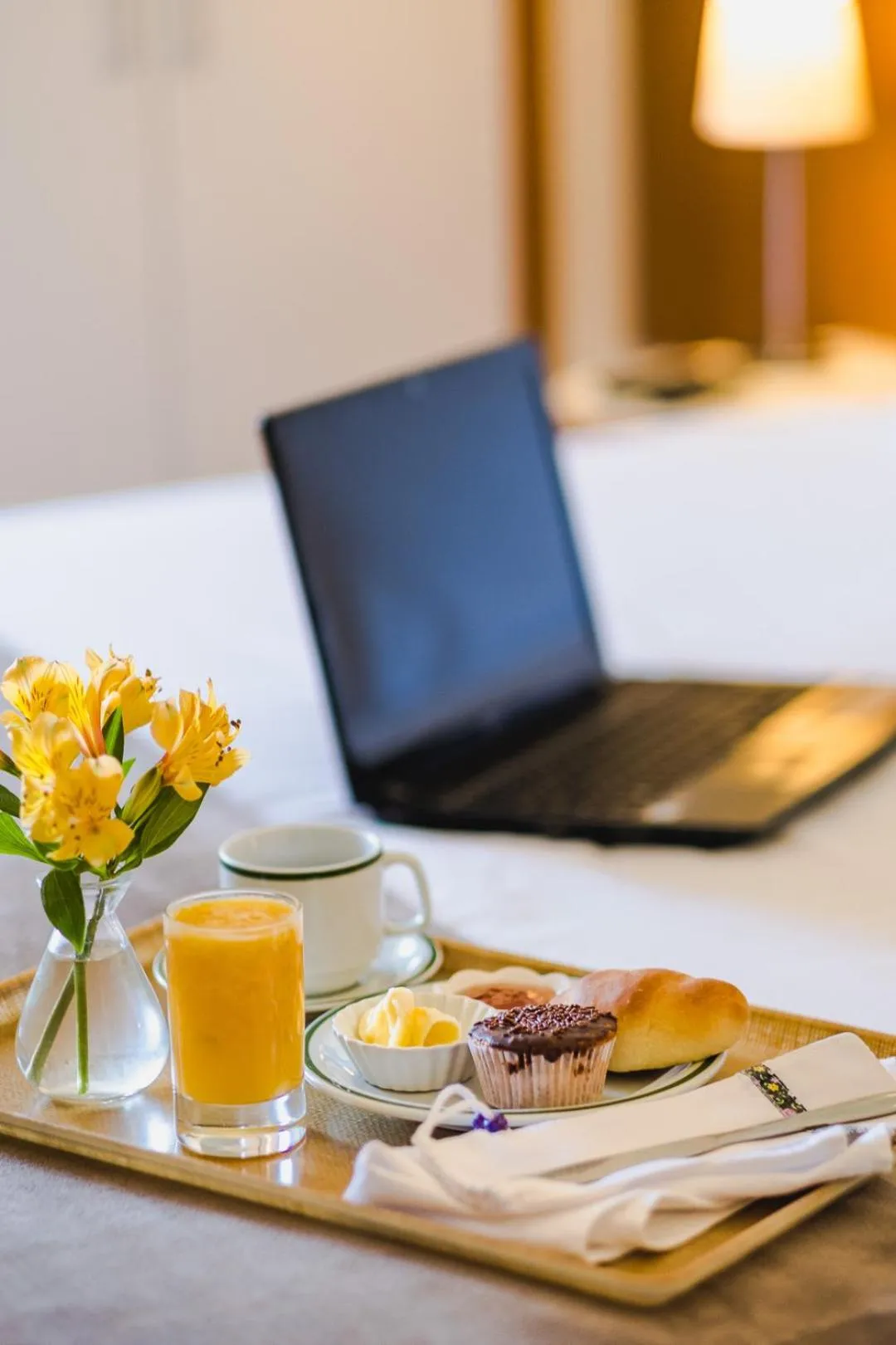 Vitoria Regia Hotel Bauru