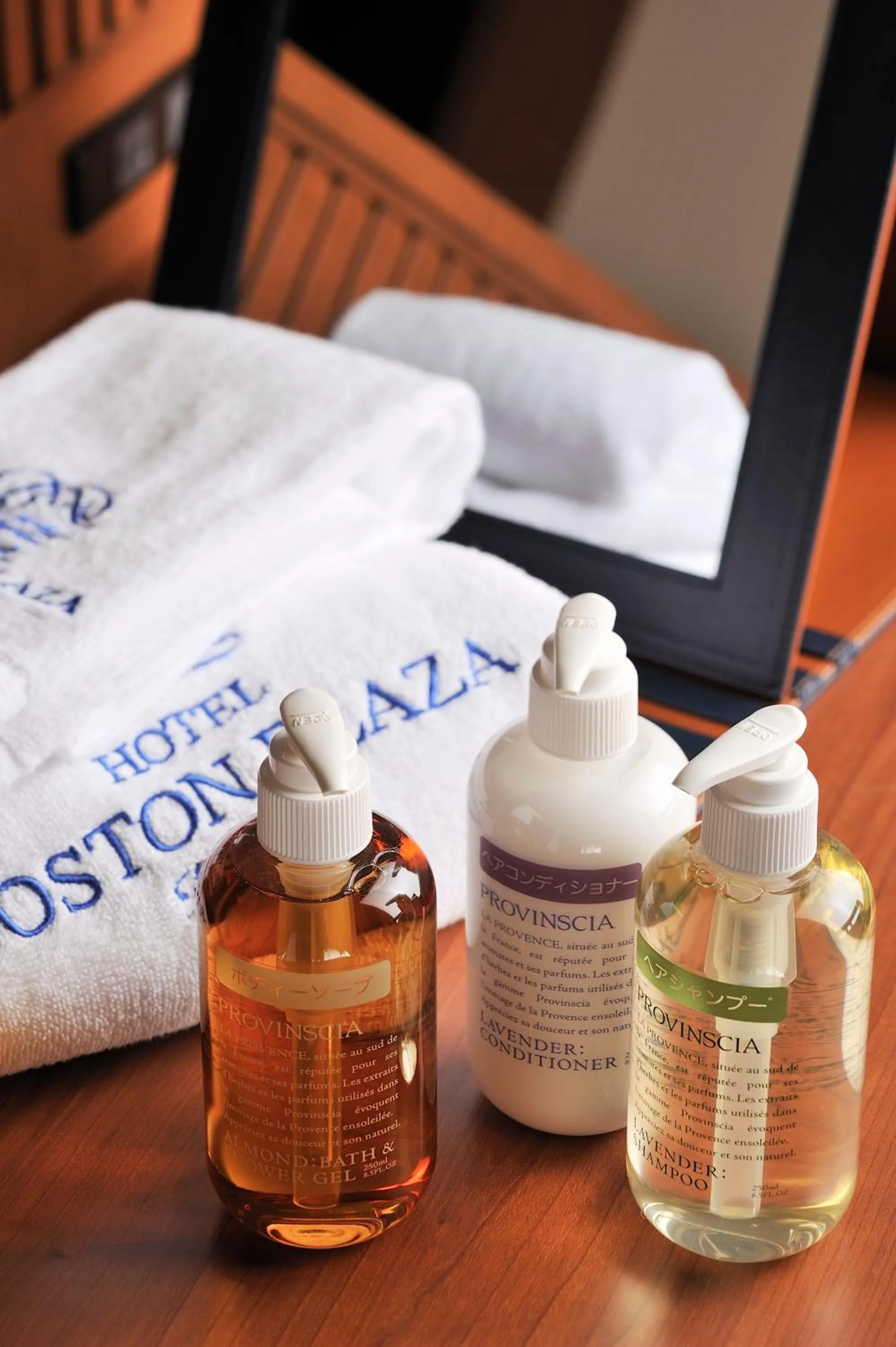 Other in Hotel Boston Plaza Kusatsu