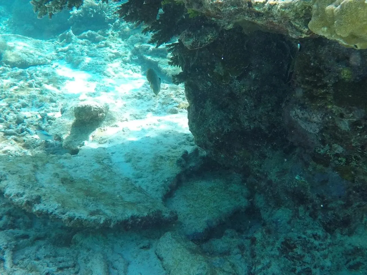 Snorkeling in Ten RooMs