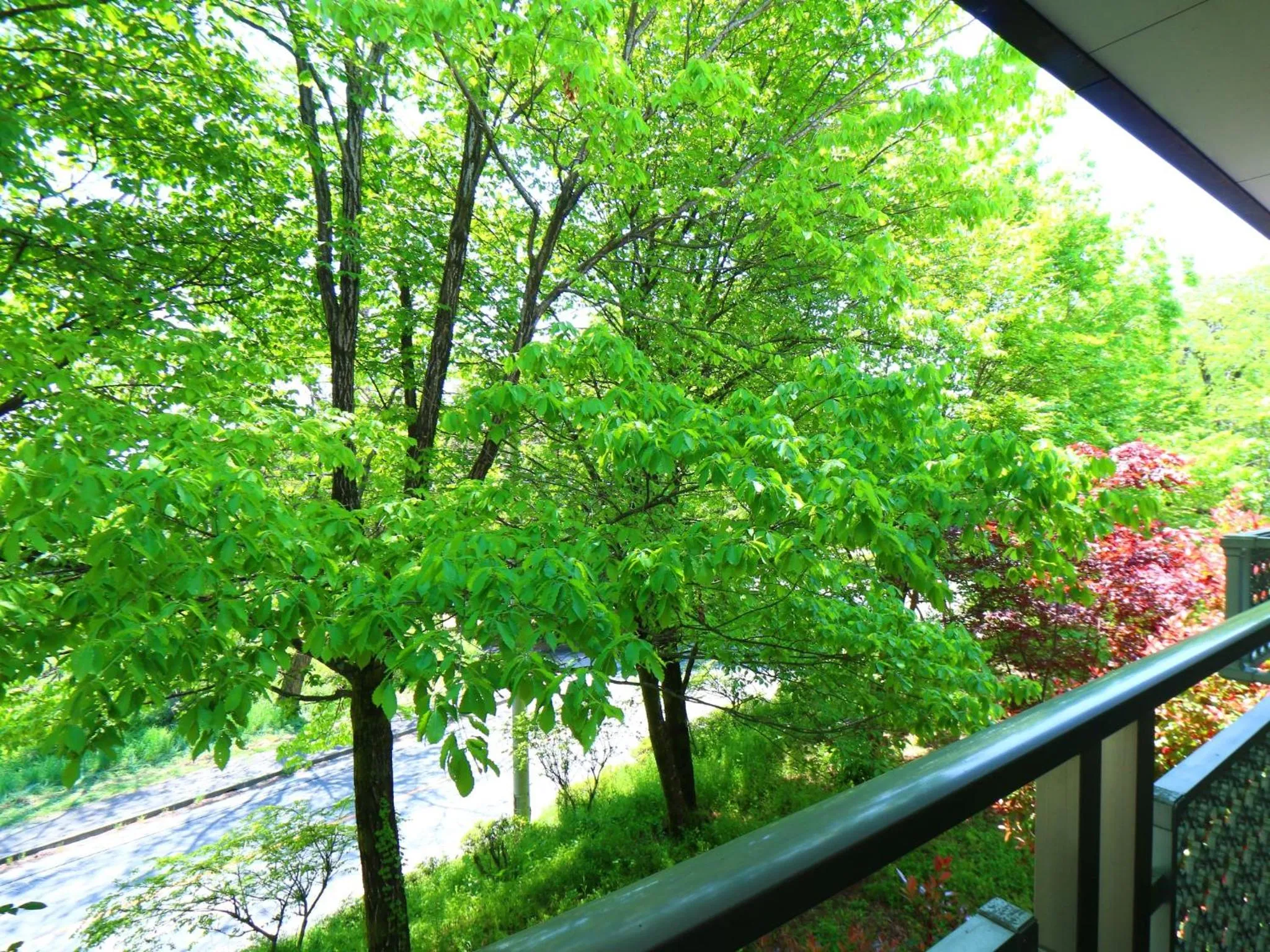 Day in Guestroom Garden Azumino