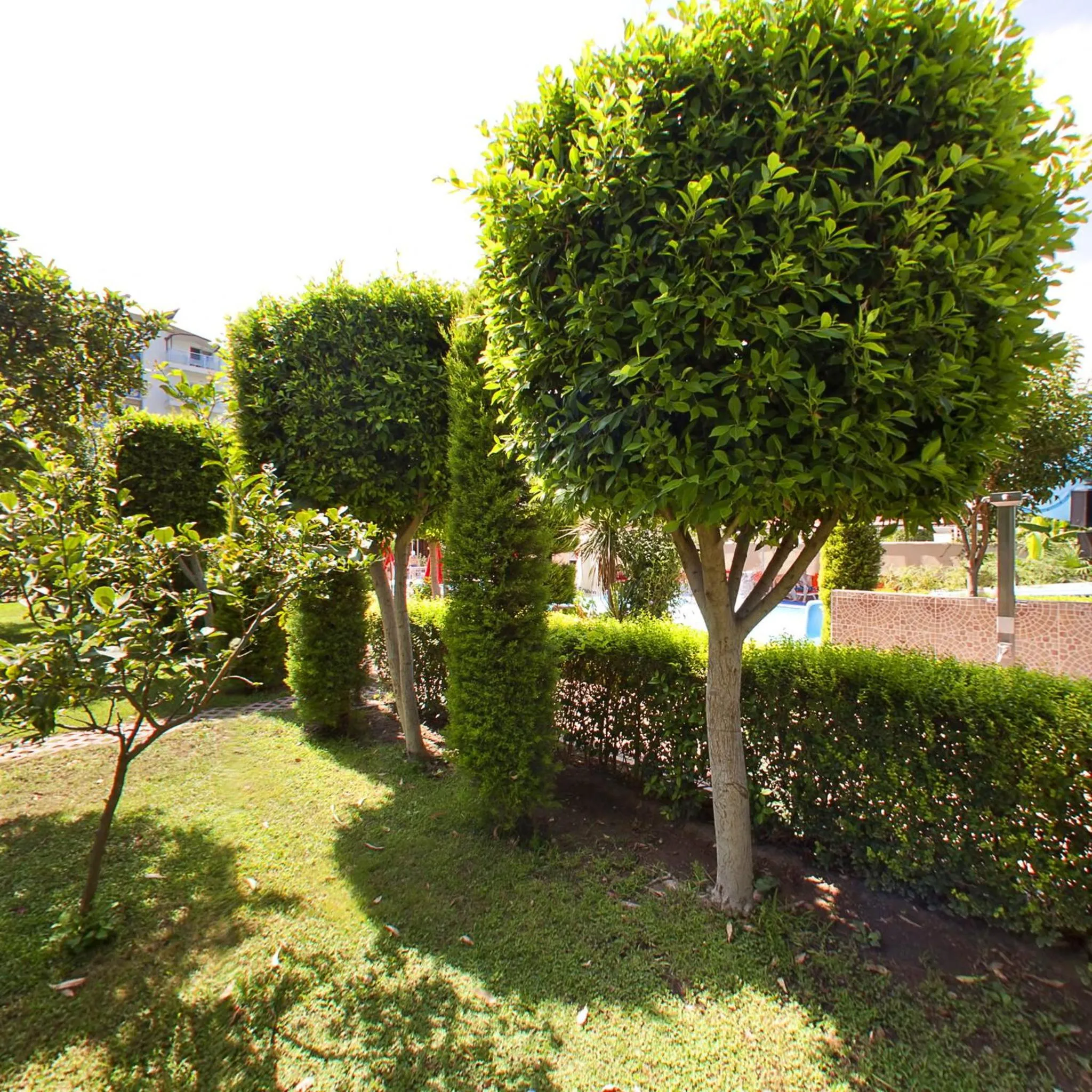 Garden in Lims Bona Dea Beach Hotel