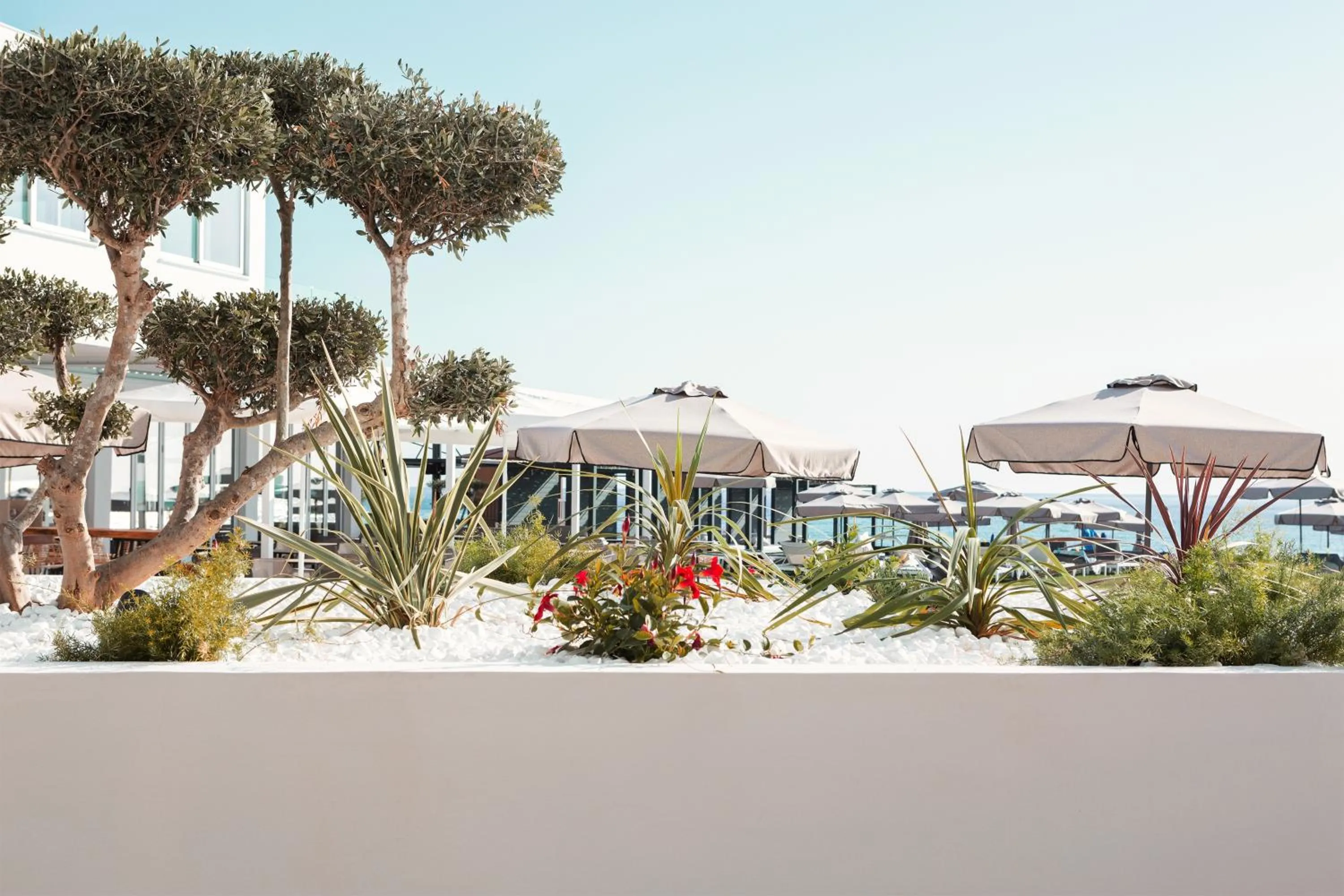 Garden in Sunprime Protaras Beach - Adults Only