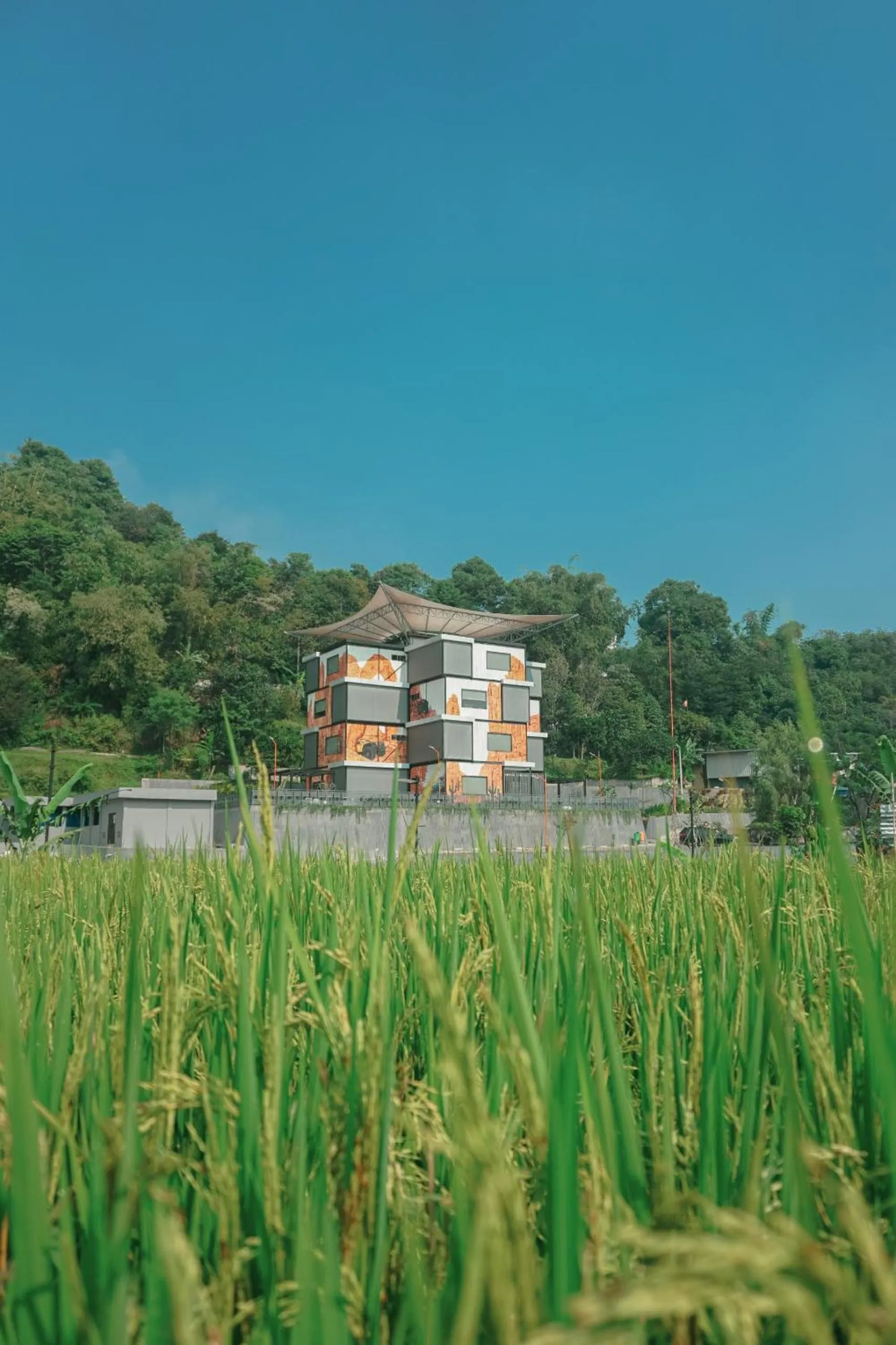 Grand Gladiator Container King in JSI Resort Megamendung