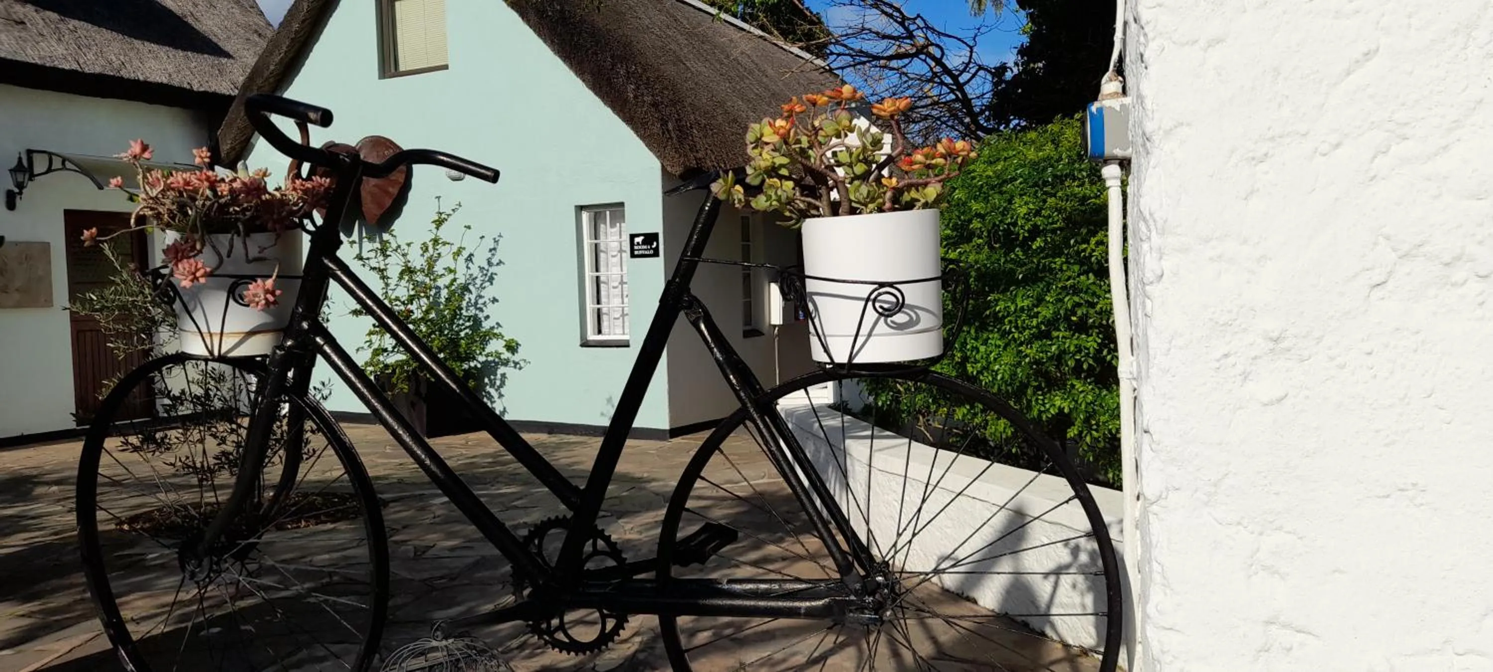 Easy Five Guest House