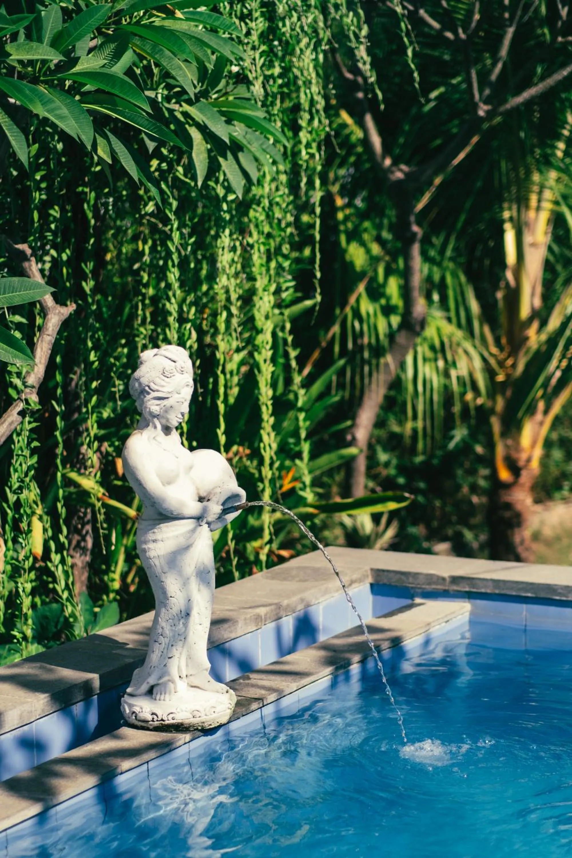 Swimming pool in Kuri Garden Cottage