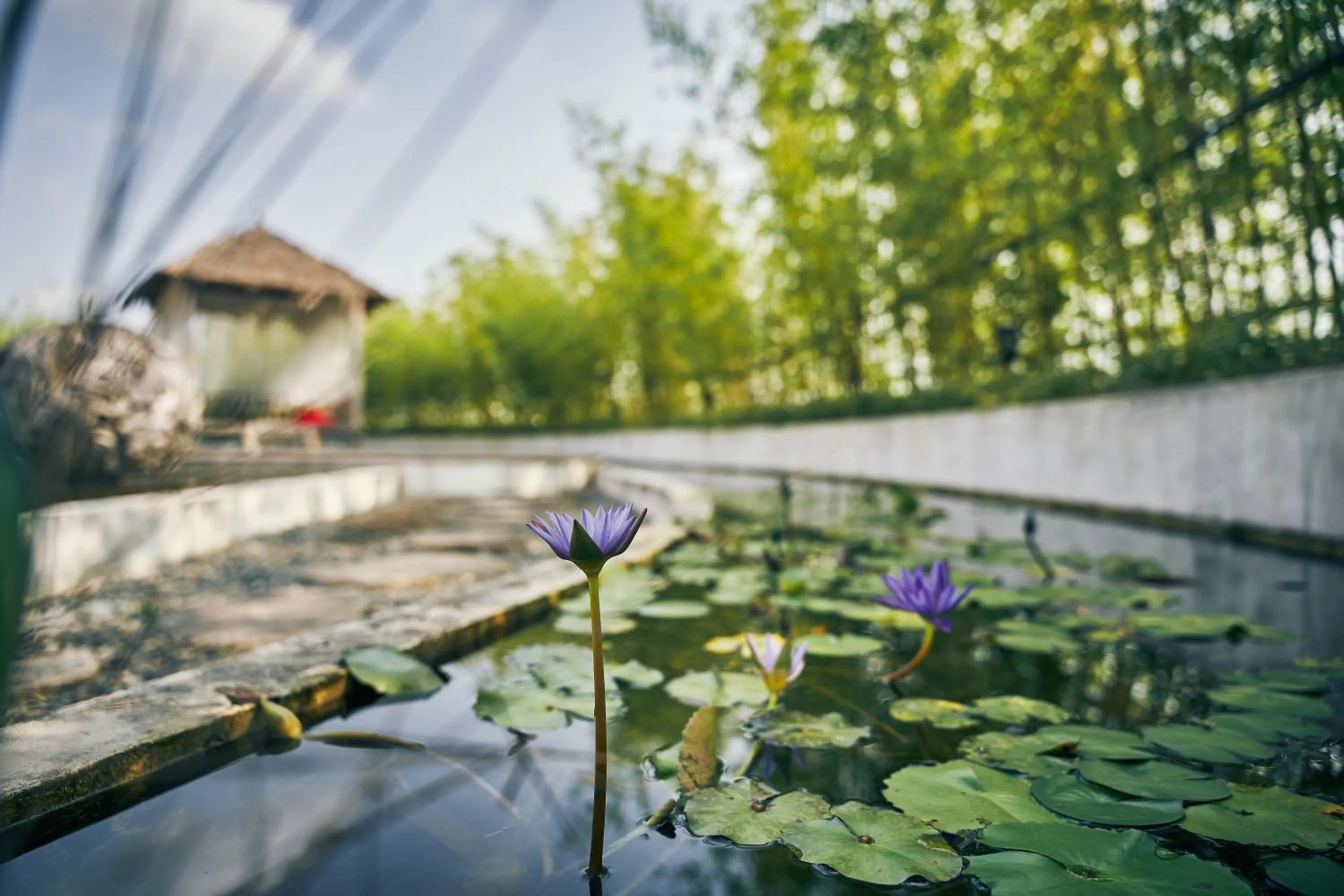 Garden view in Manli Hotel Shanghai Pudong Airport Branch -Provide free shuttle buses to Pudong Airport and Disneyland